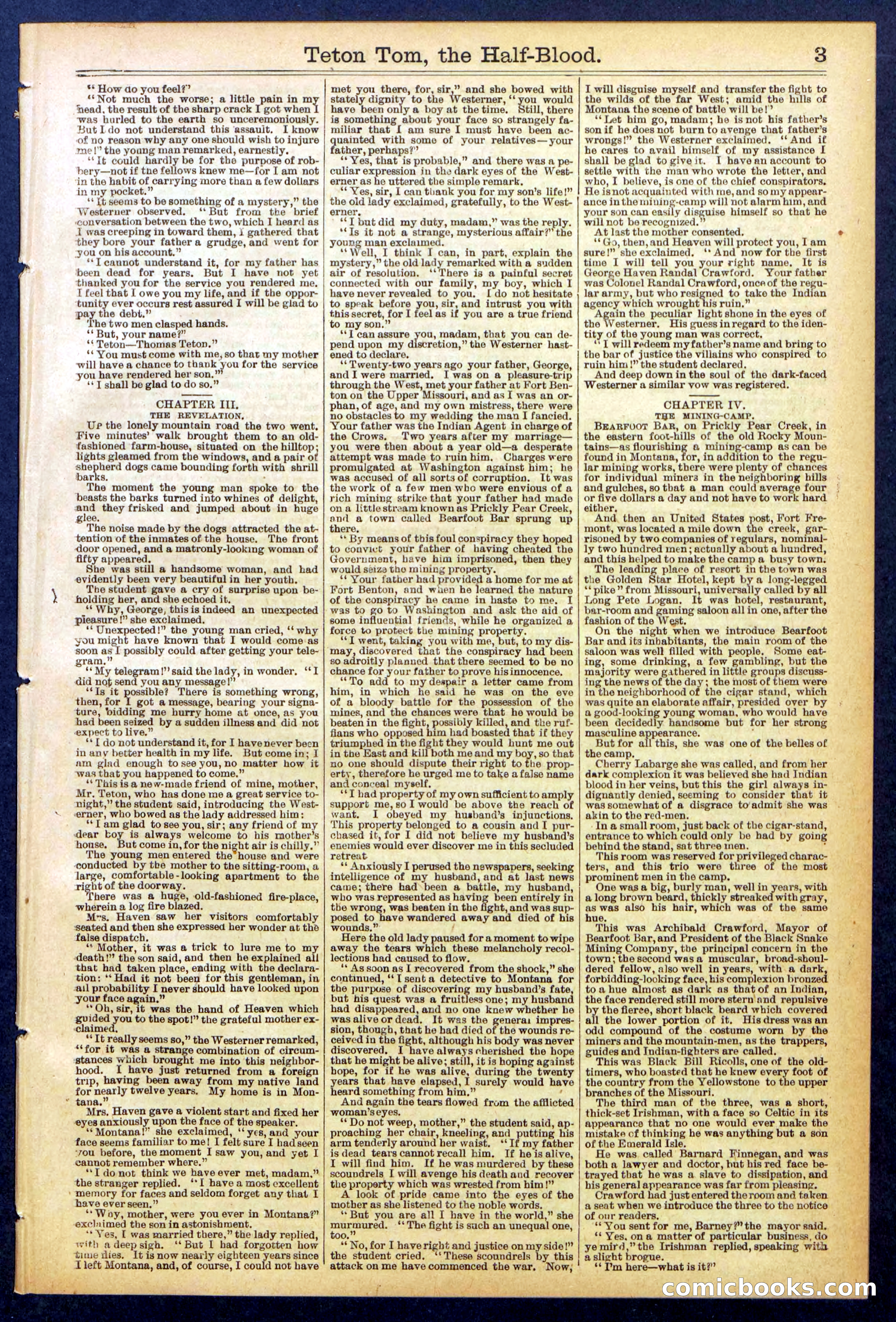 Beadle's New York Dime Library No. 842 — page 3 of 32