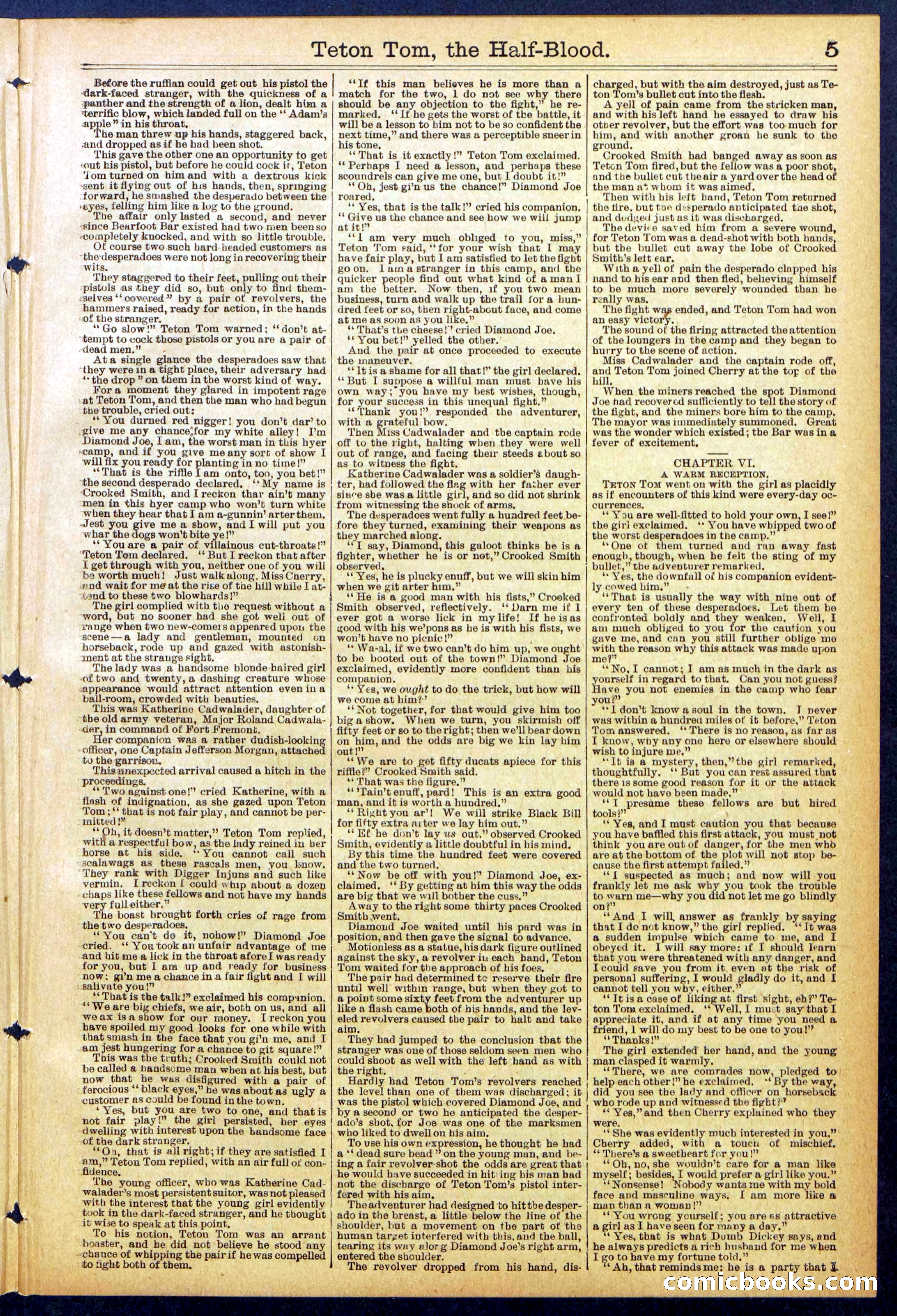 Beadle's New York Dime Library No. 842 — page 5 of 32