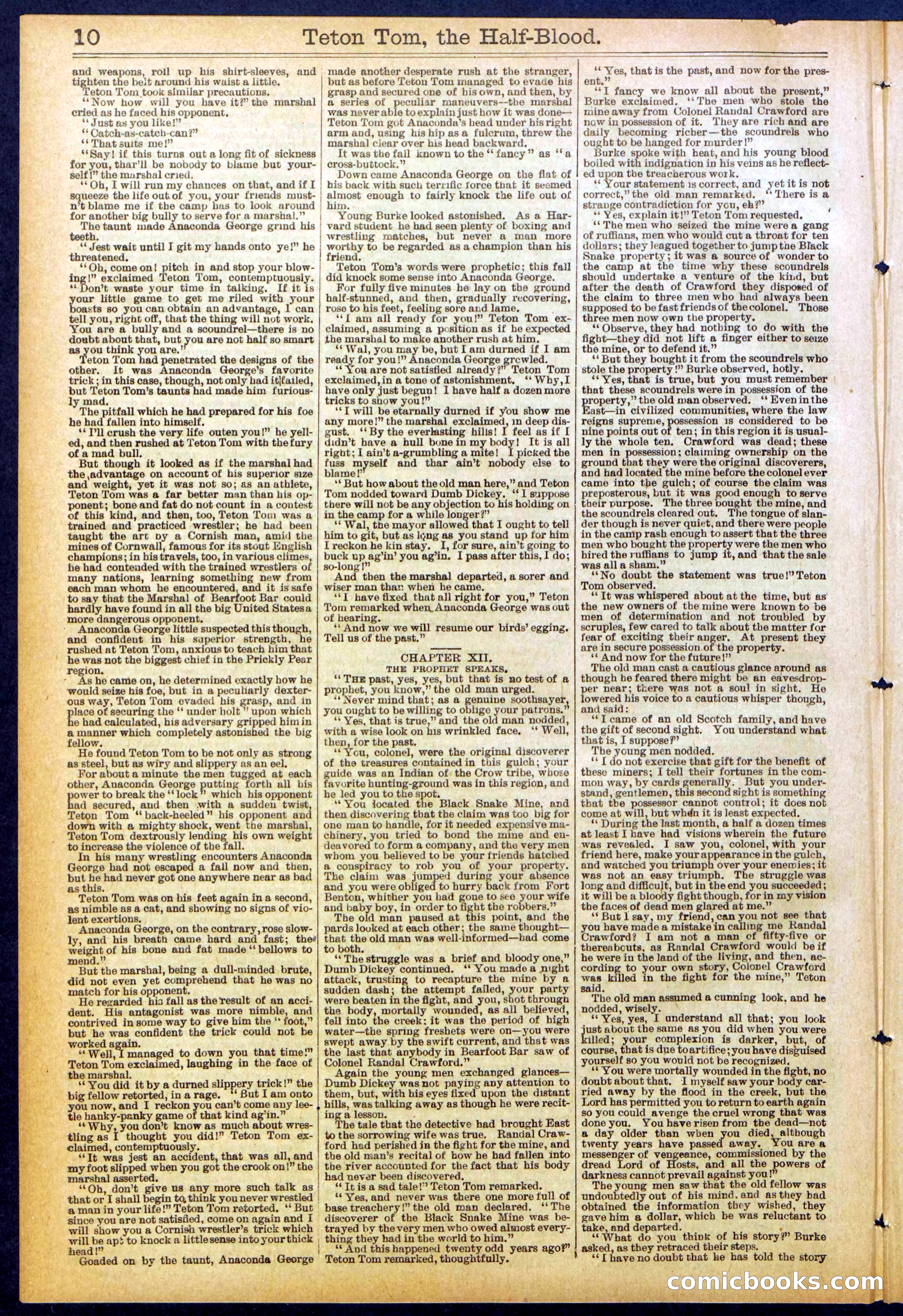 Beadle's New York Dime Library No. 842 — page 10 of 32