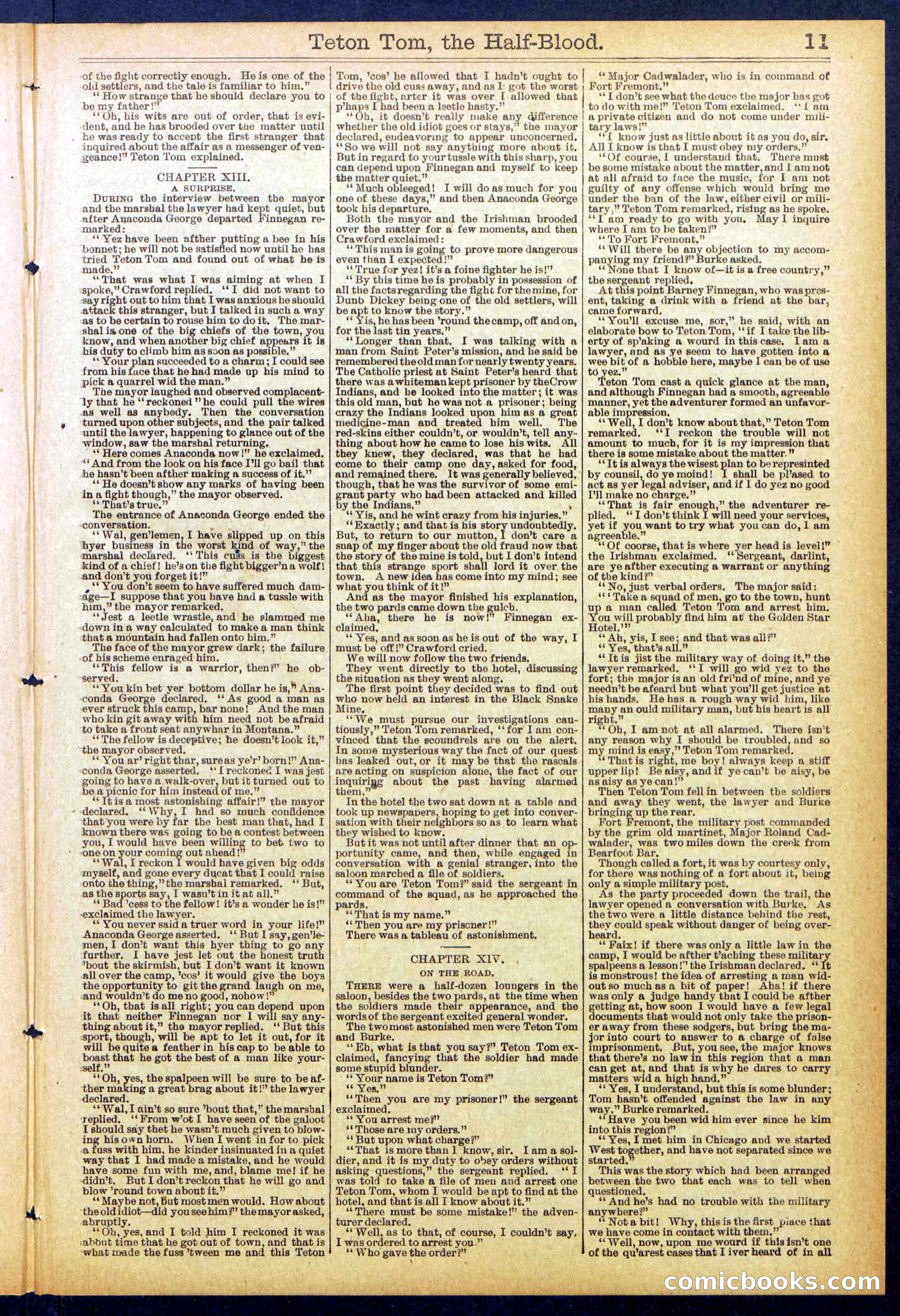 Beadle's New York Dime Library No. 842 — page 11 of 32