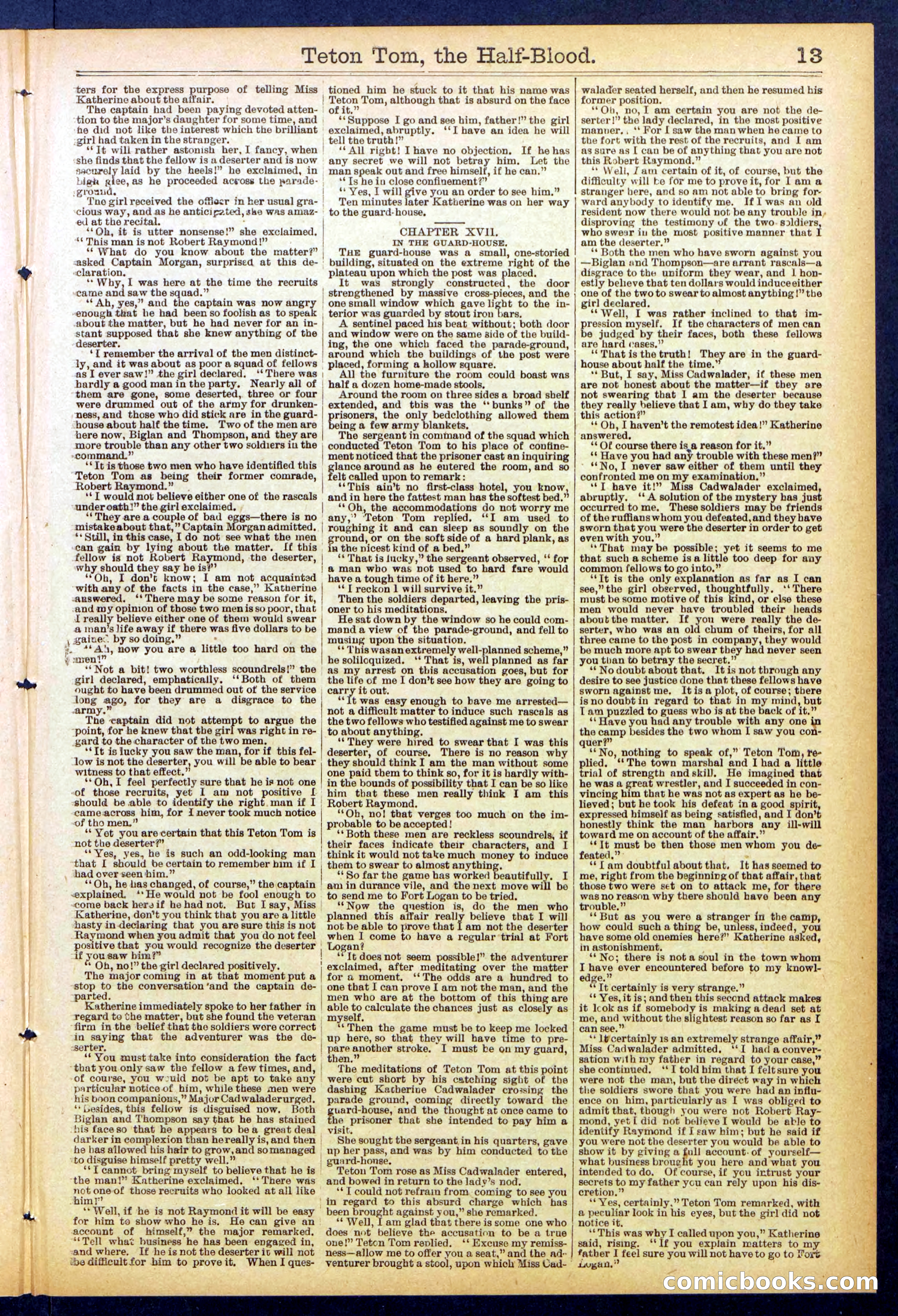 Beadle's New York Dime Library No. 842 — page 13 of 32