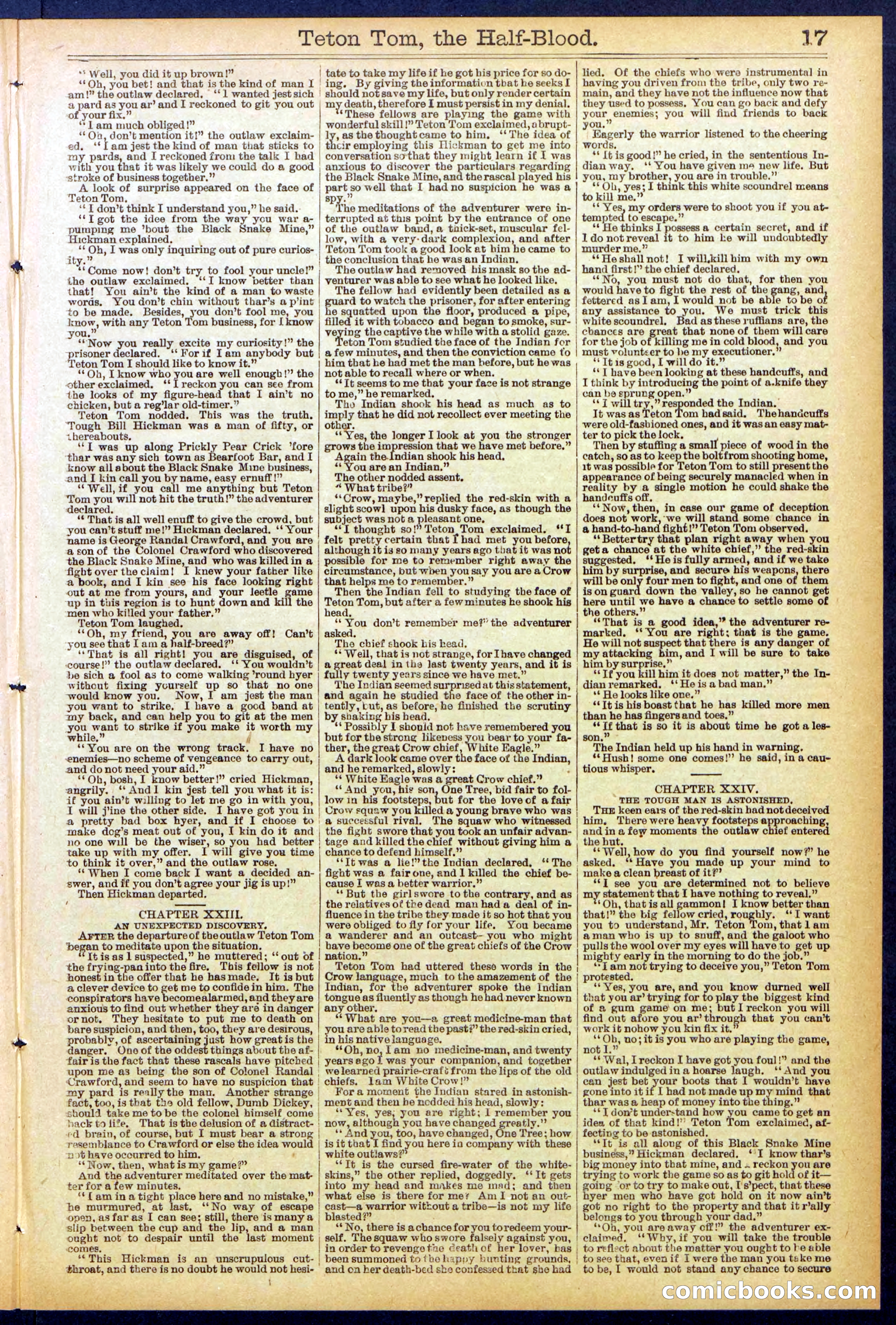 Beadle's New York Dime Library No. 842 — page 17 of 32