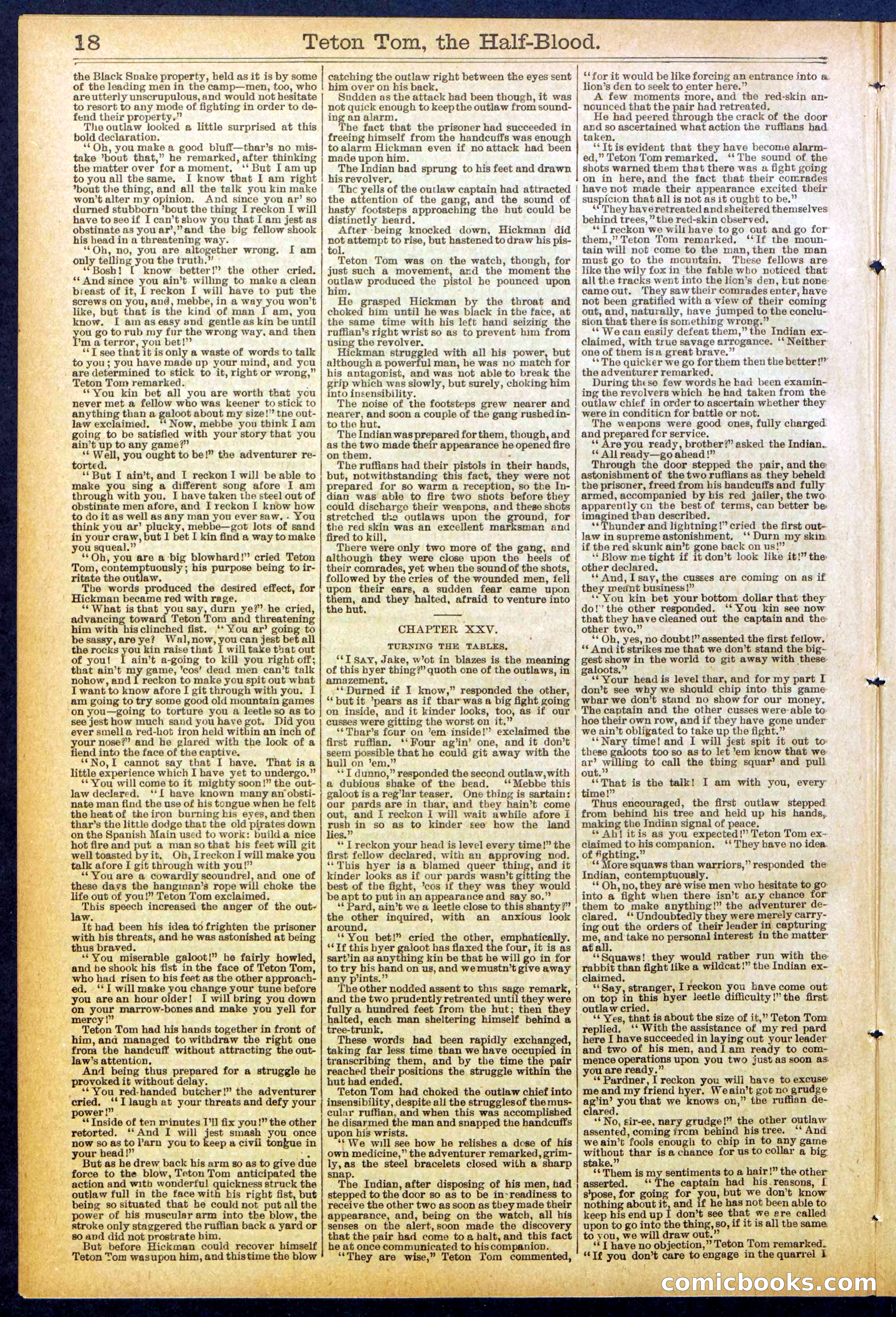 Beadle's New York Dime Library No. 842 — page 18 of 32