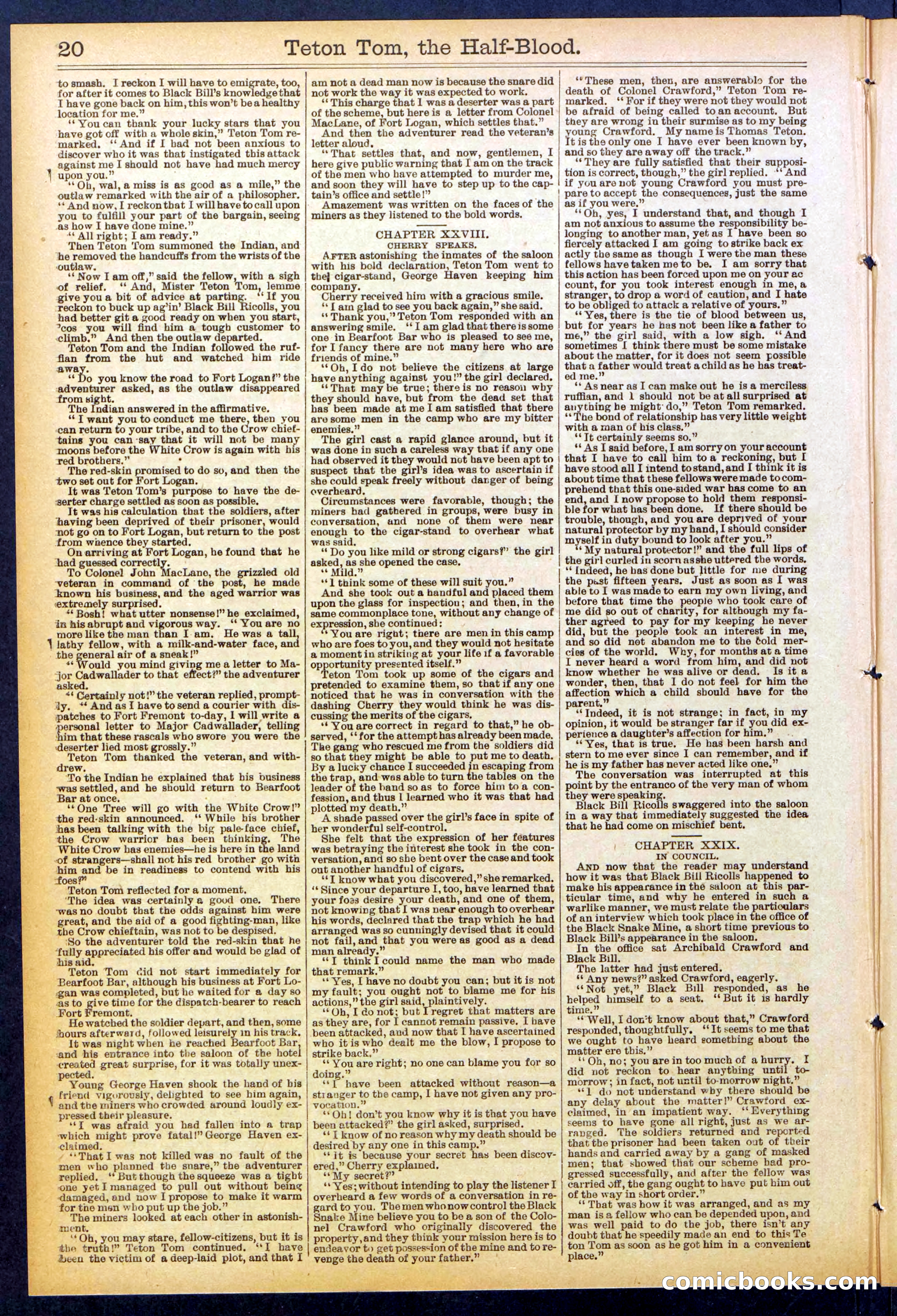 Beadle's New York Dime Library No. 842 — page 20 of 32