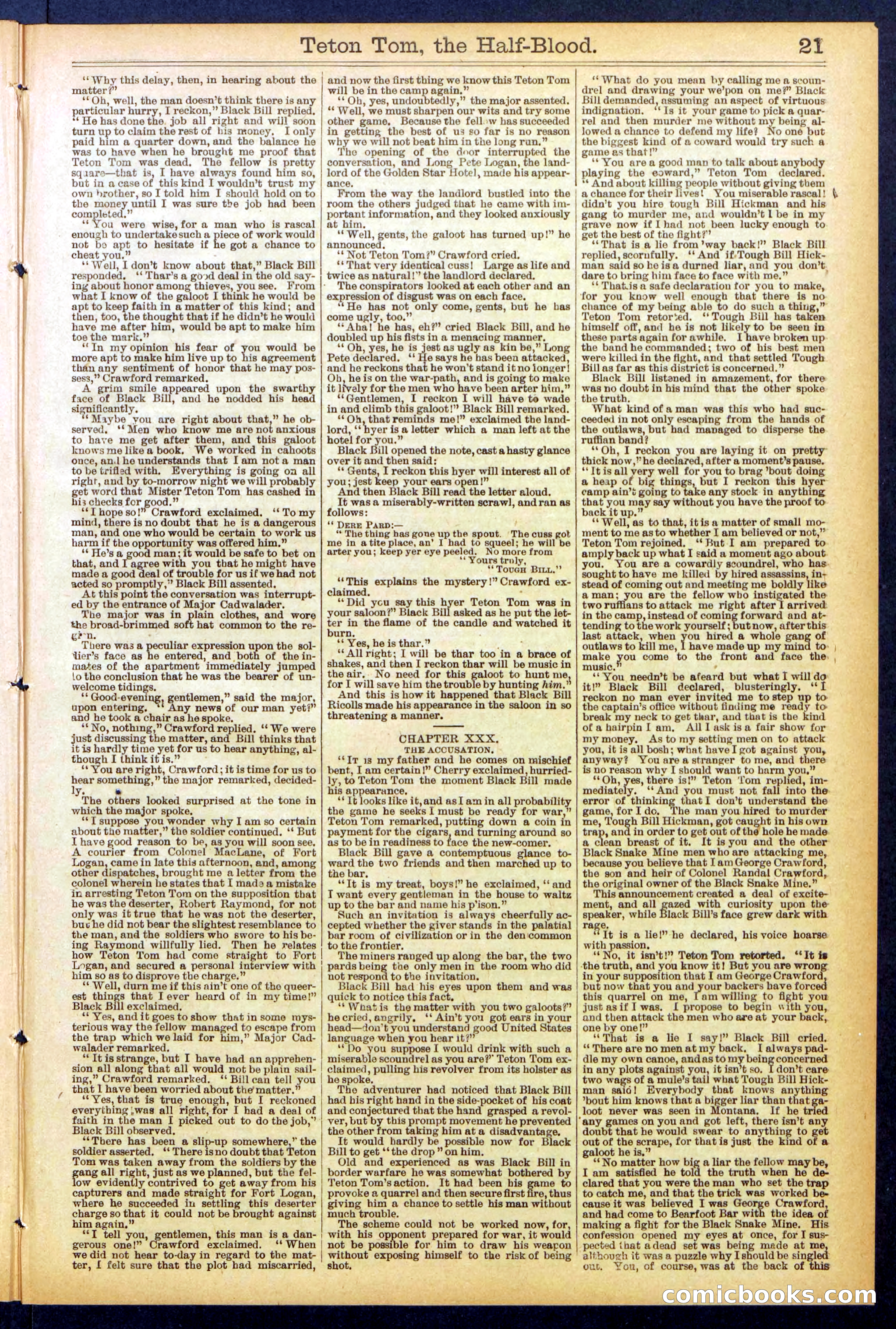 Beadle's New York Dime Library No. 842 — page 21 of 32