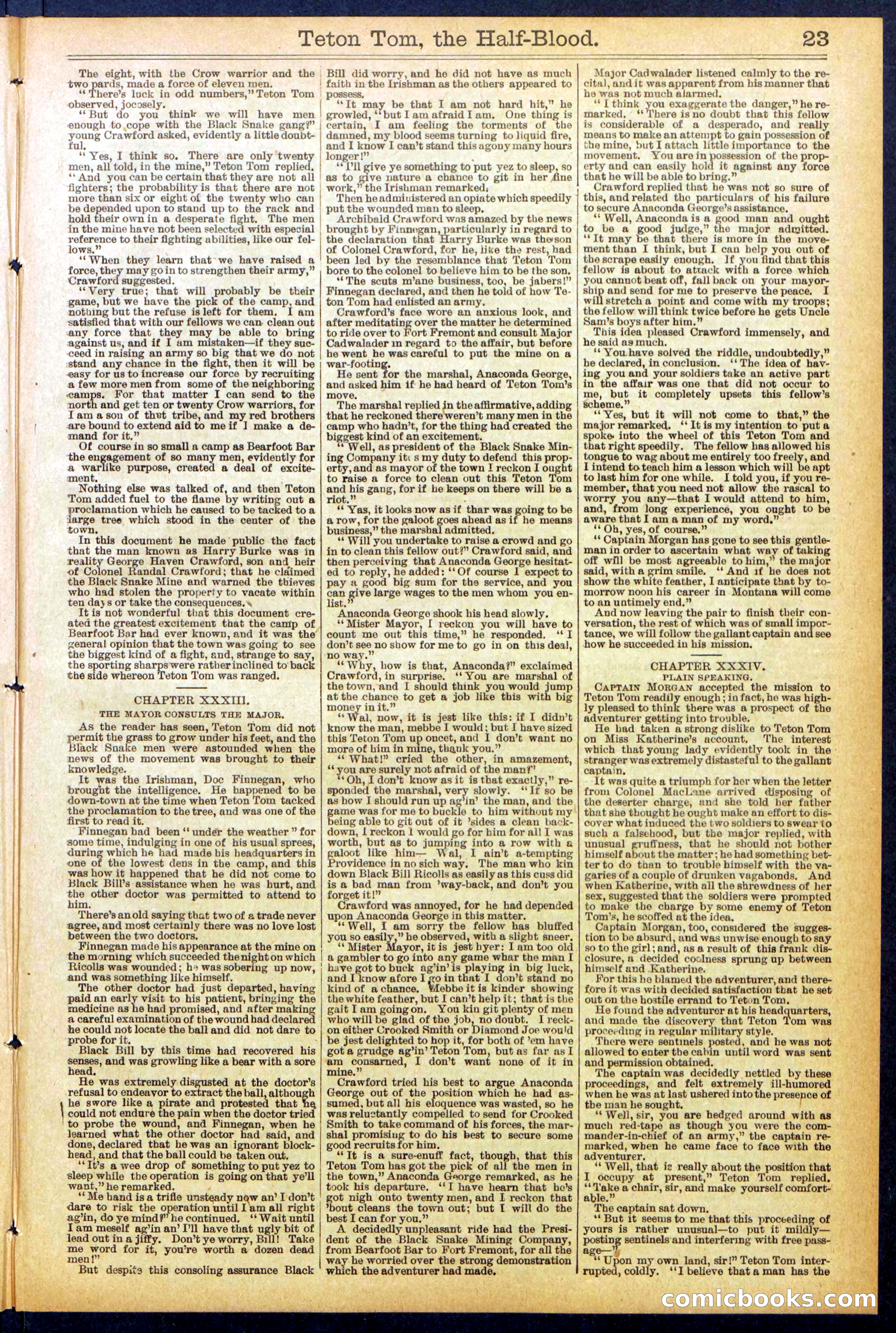 Beadle's New York Dime Library No. 842 — page 23 of 32