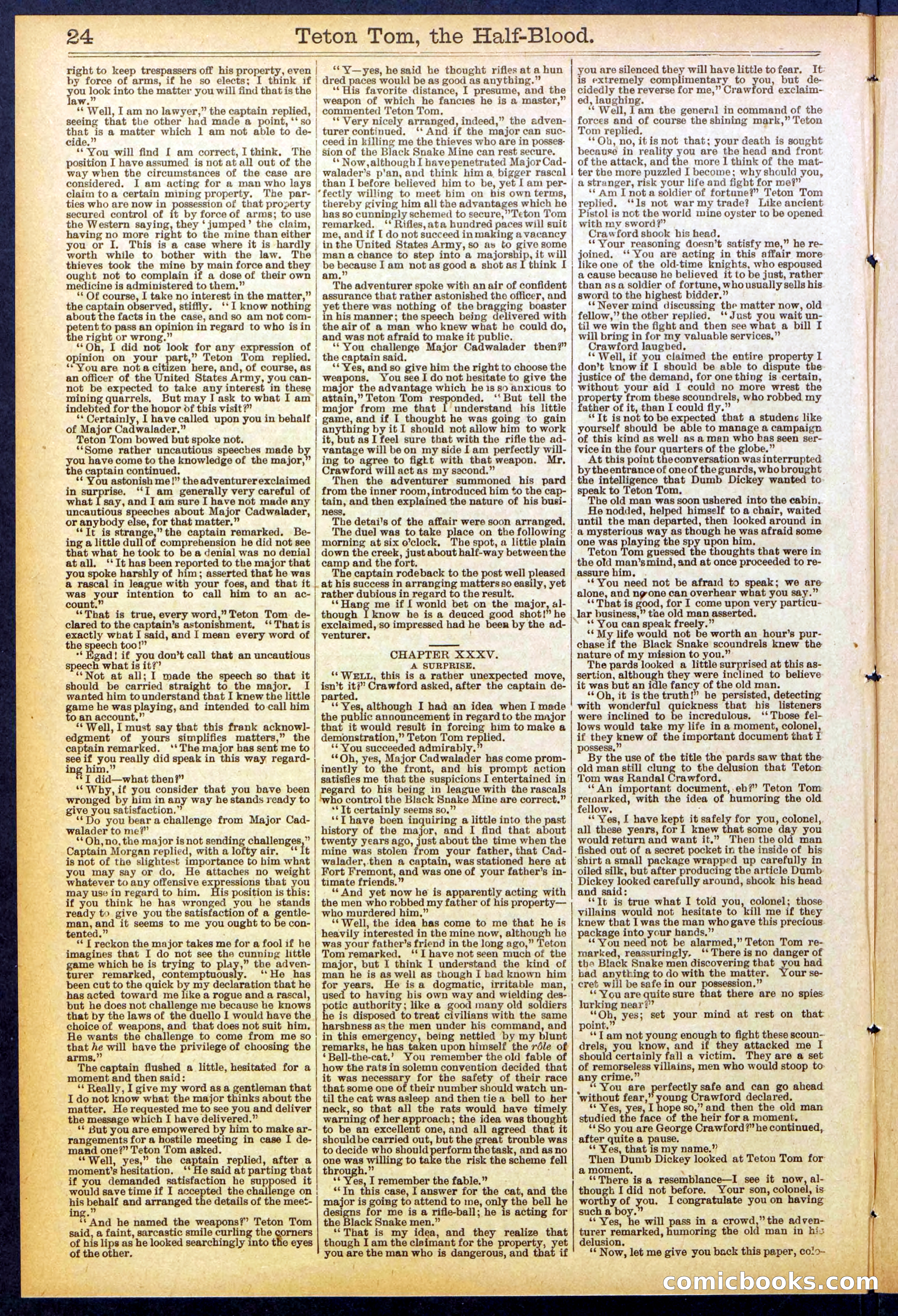 Beadle's New York Dime Library No. 842 — page 24 of 32
