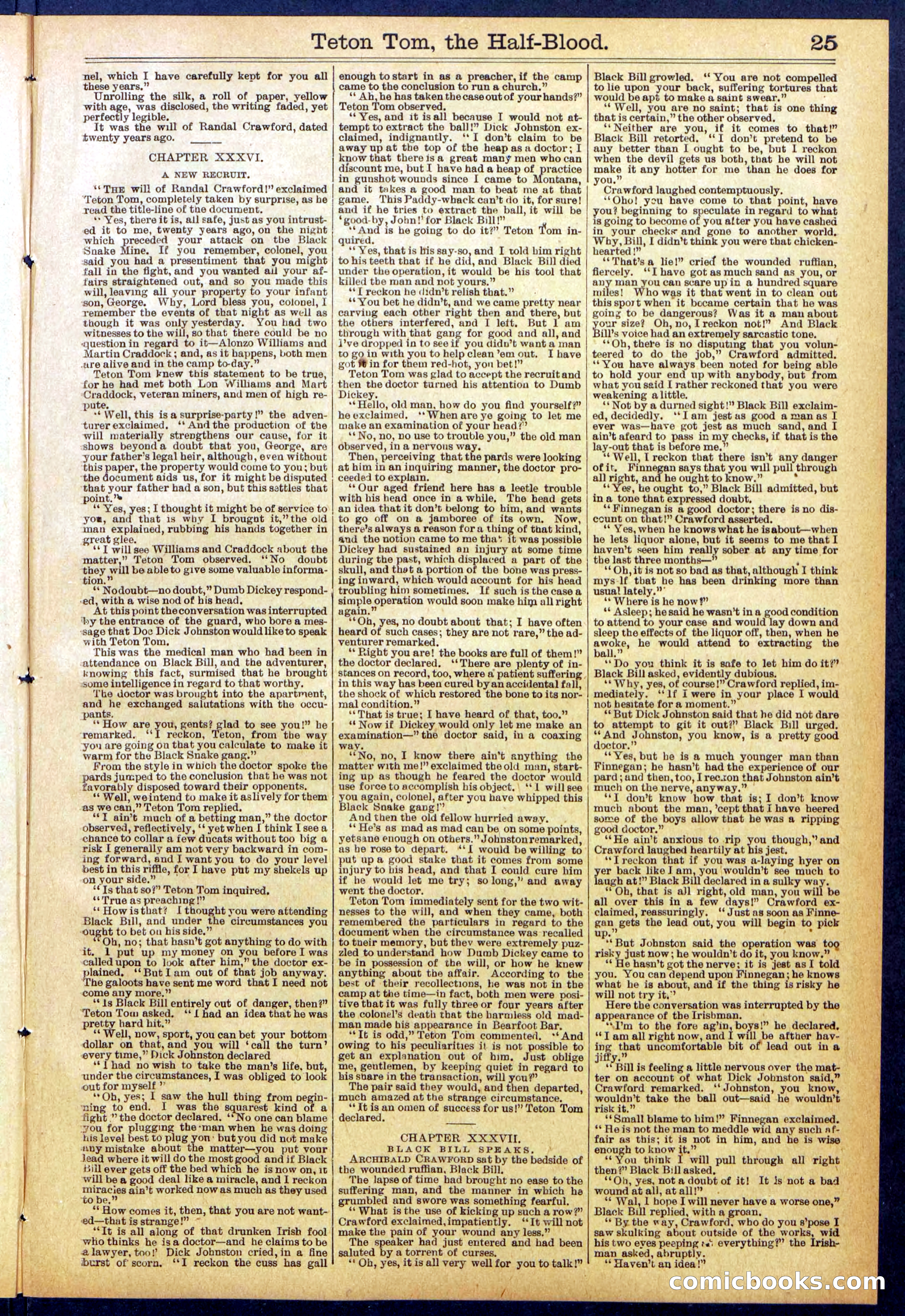 Beadle's New York Dime Library No. 842 — page 25 of 32