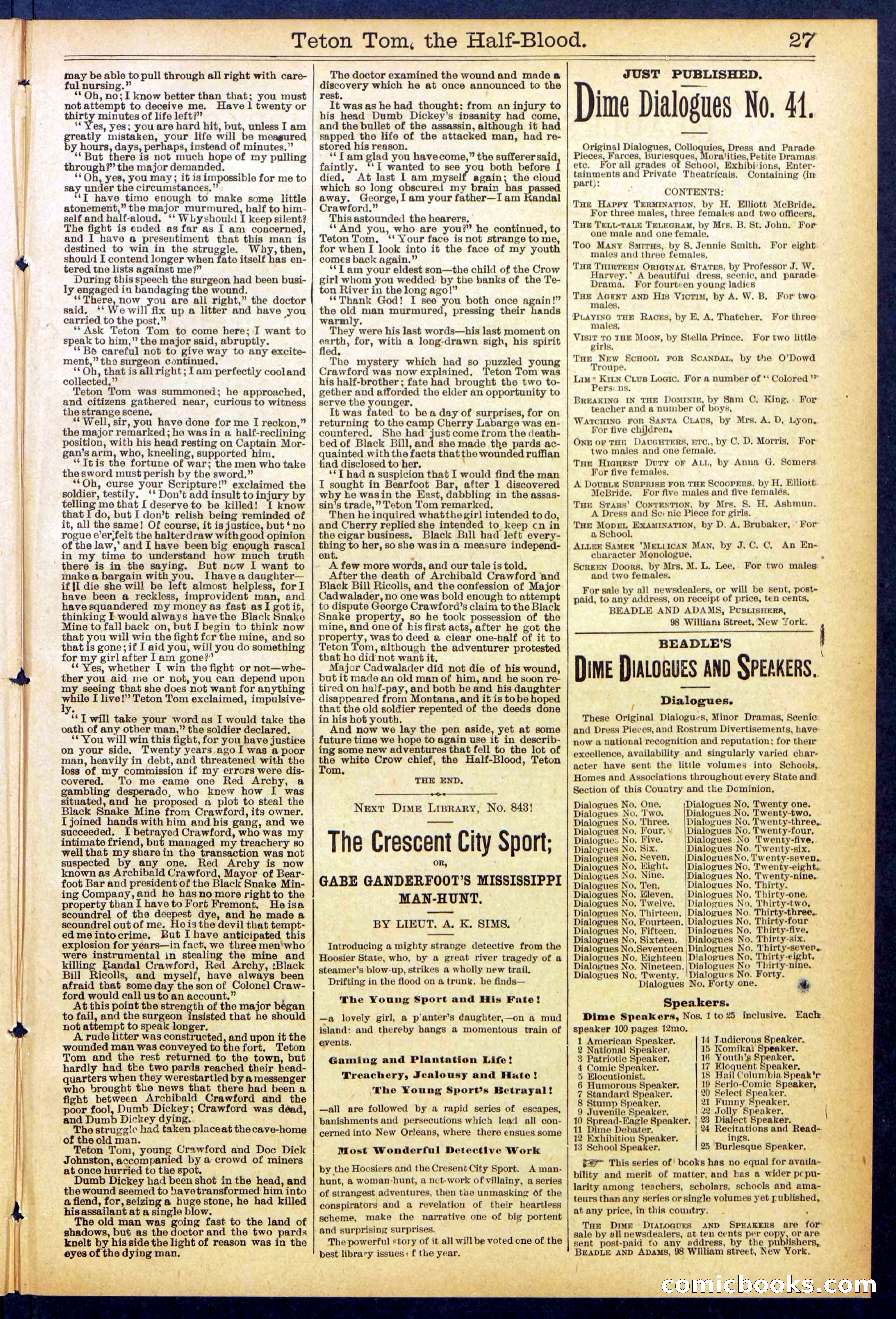 Beadle's New York Dime Library No. 842 — page 27 of 32