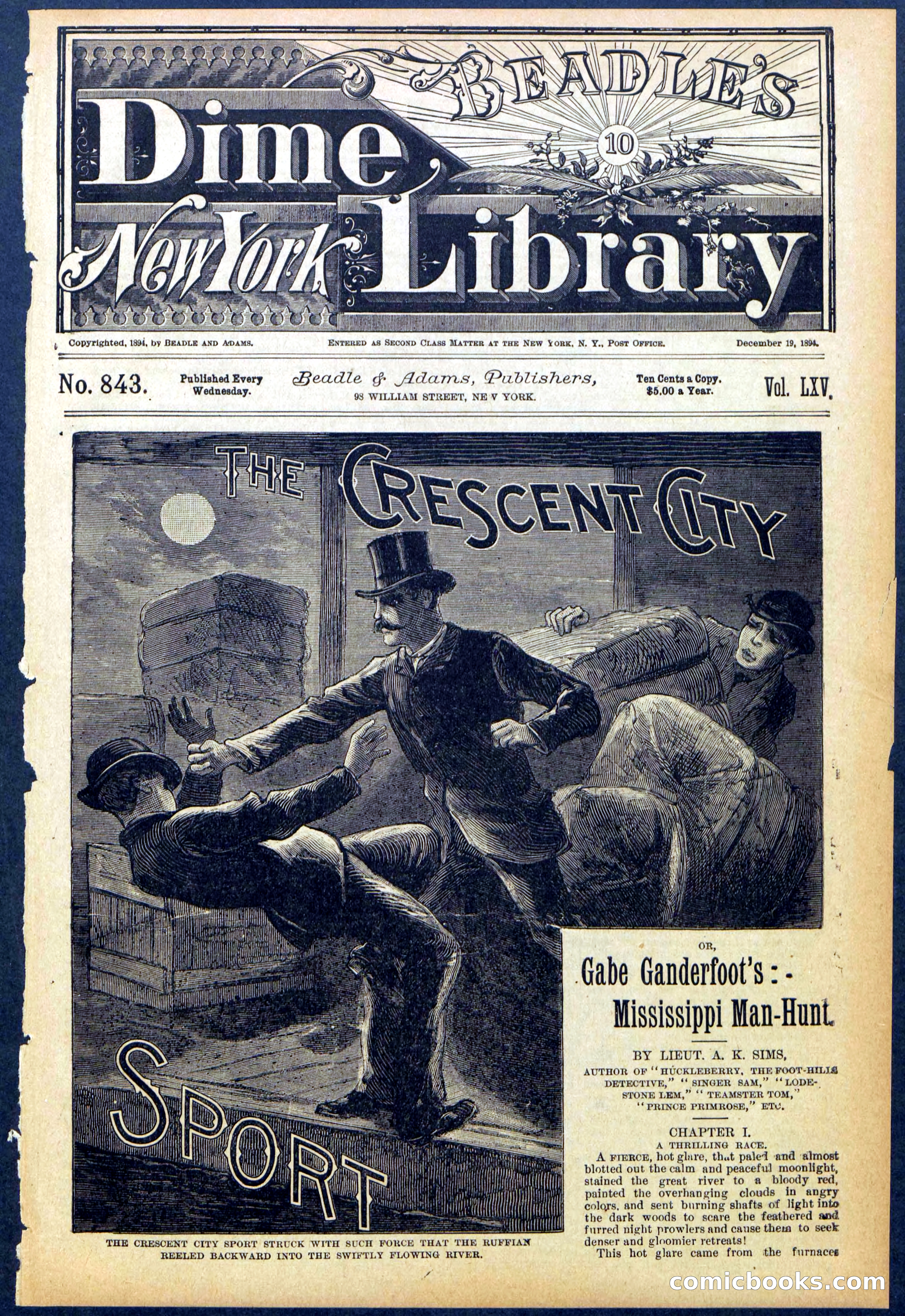 Beadle's New York Dime Library No. 843 — page 1 of 32