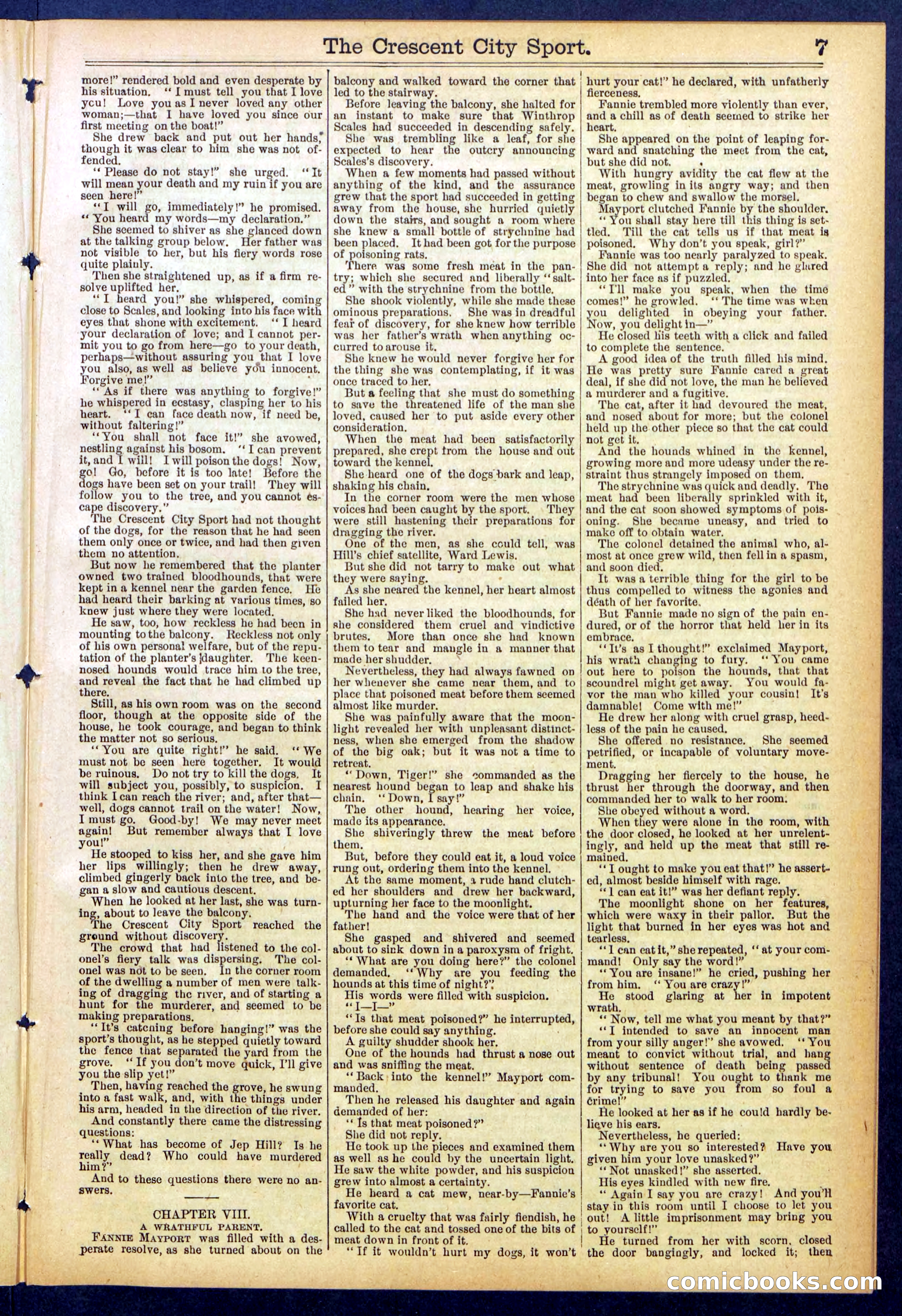 Beadle's New York Dime Library No. 843 — page 7 of 32
