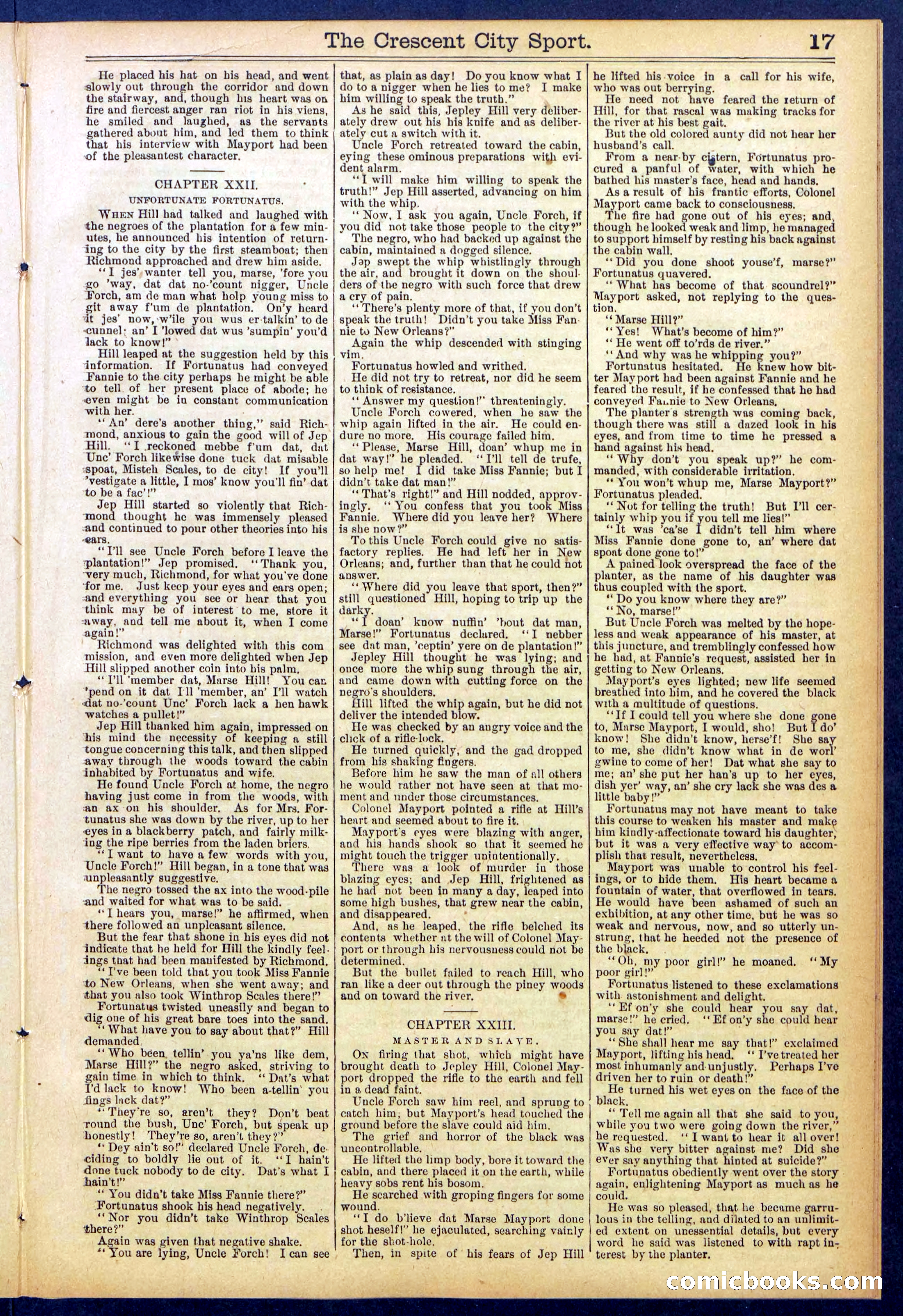 Beadle's New York Dime Library No. 843 — page 17 of 32