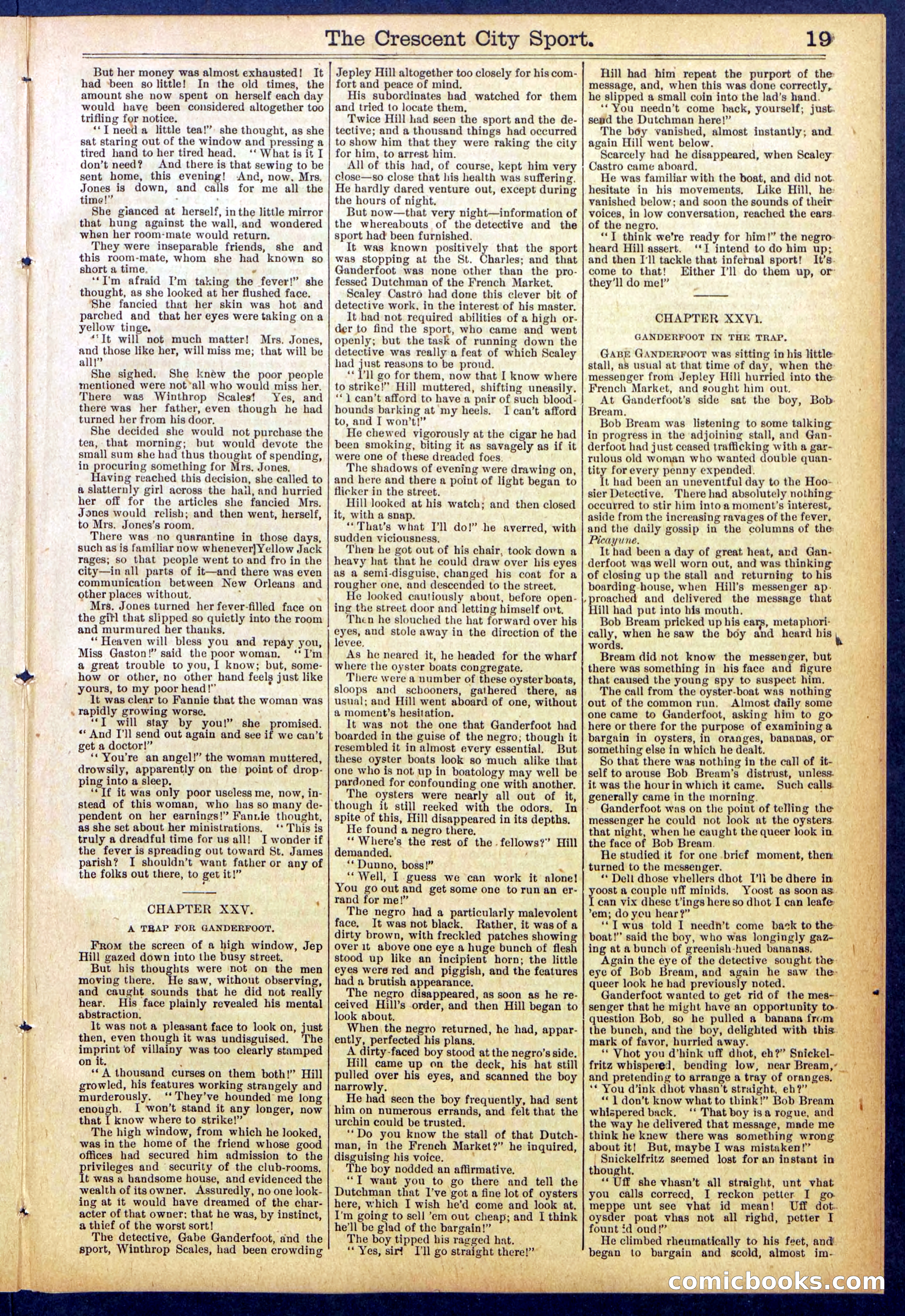 Beadle's New York Dime Library No. 843 — page 19 of 32