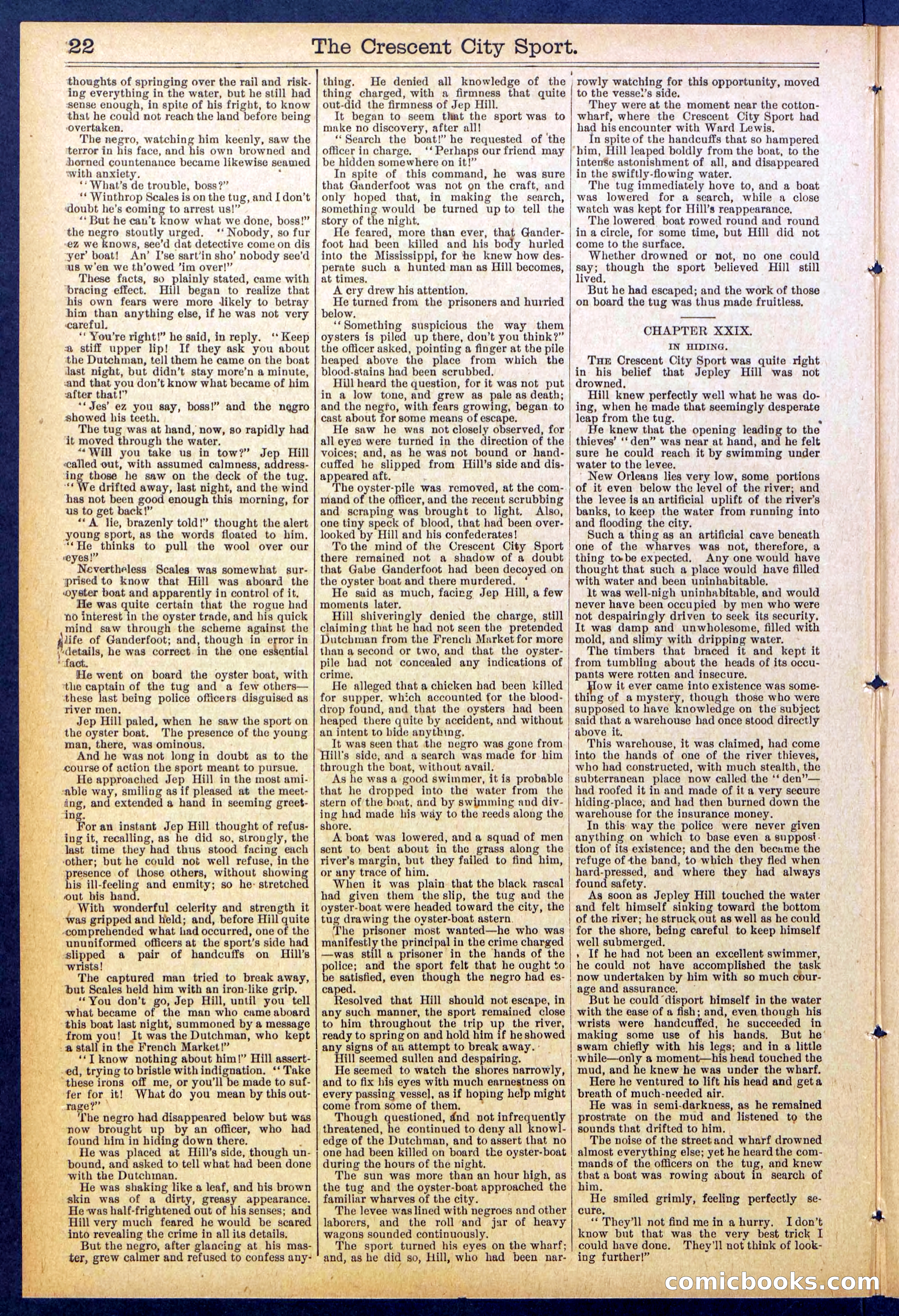 Beadle's New York Dime Library No. 843 — page 22 of 32