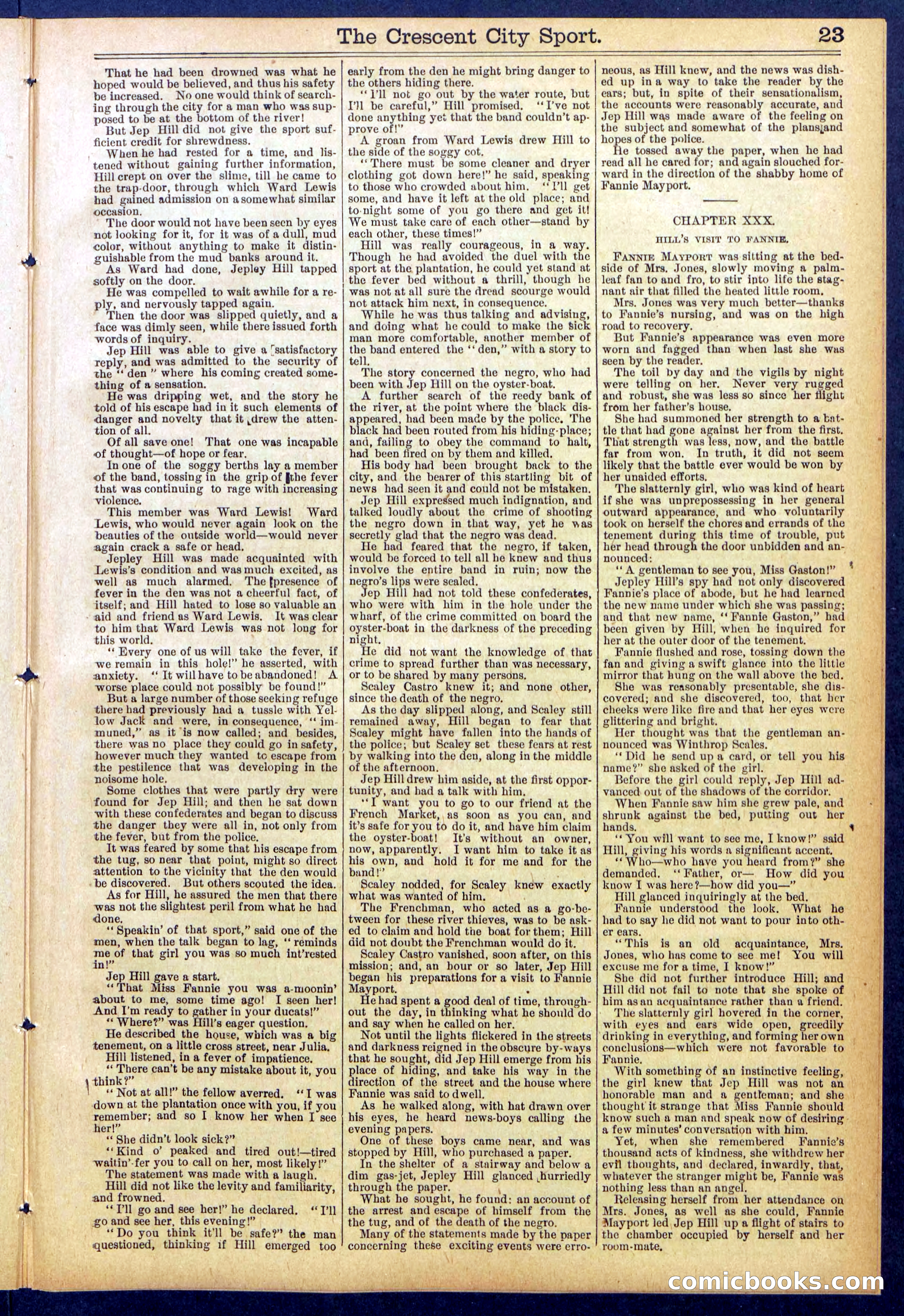 Beadle's New York Dime Library No. 843 — page 23 of 32
