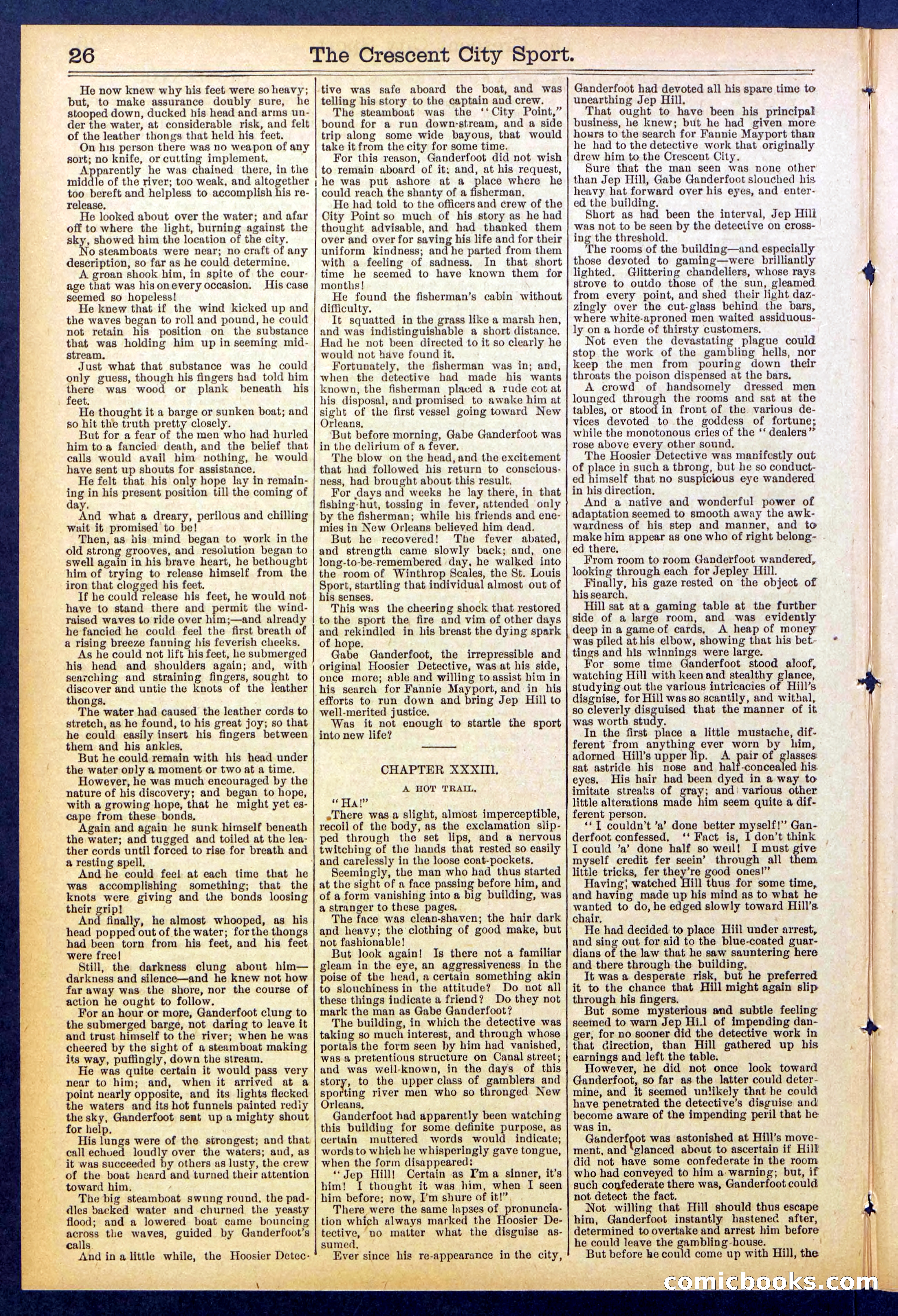 Beadle's New York Dime Library No. 843 — page 26 of 32
