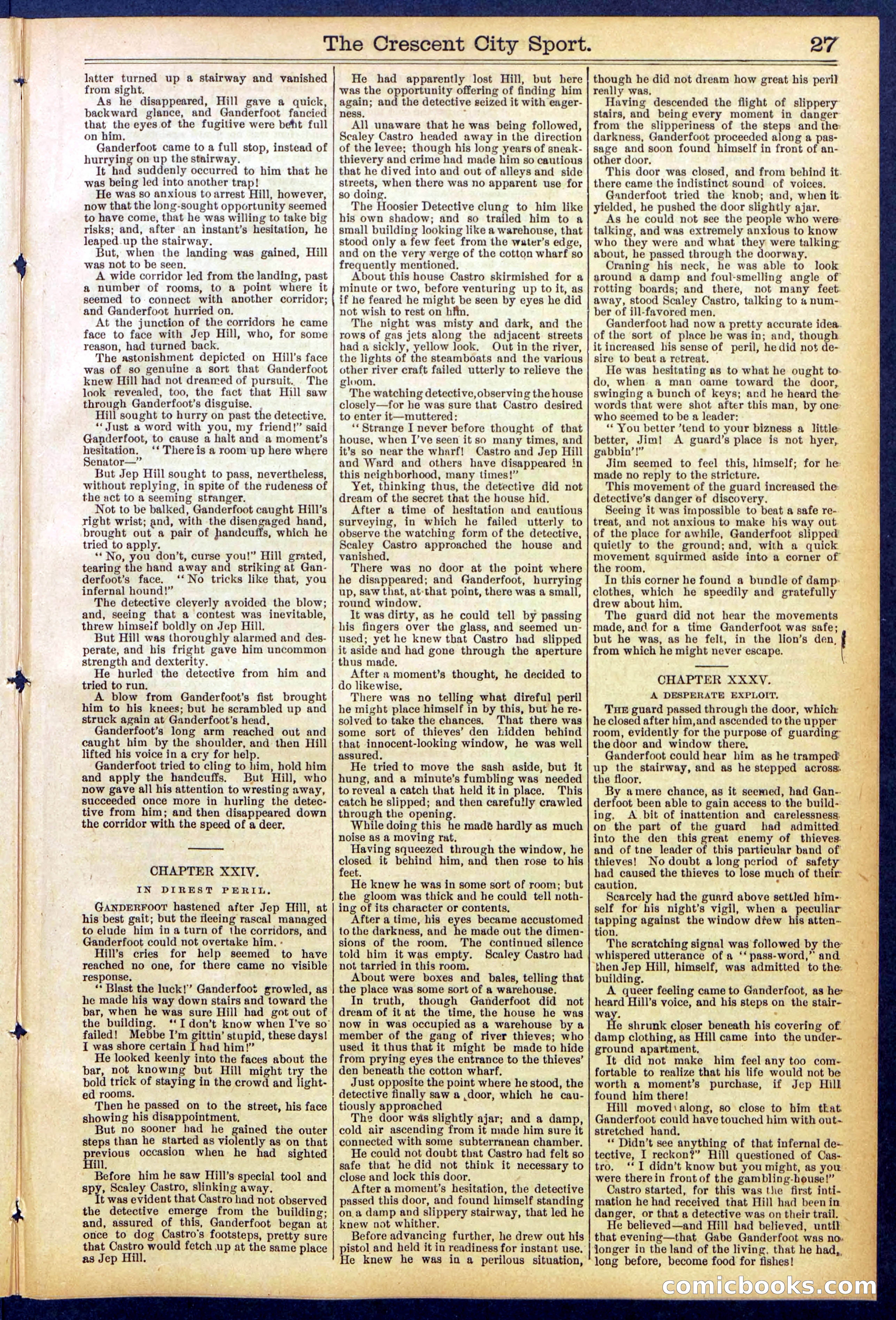 Beadle's New York Dime Library No. 843 — page 27 of 32