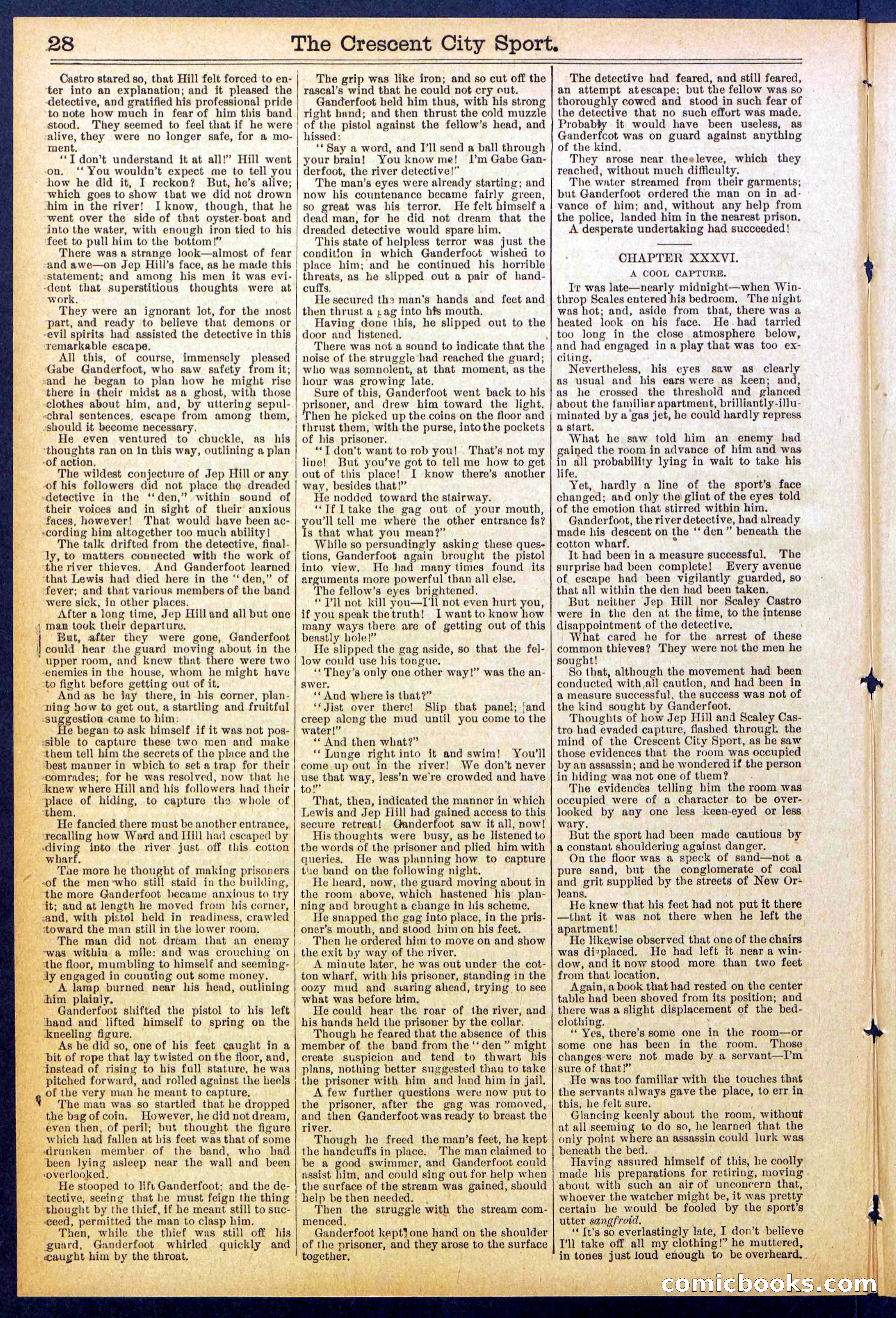 Beadle's New York Dime Library No. 843 — page 28 of 32