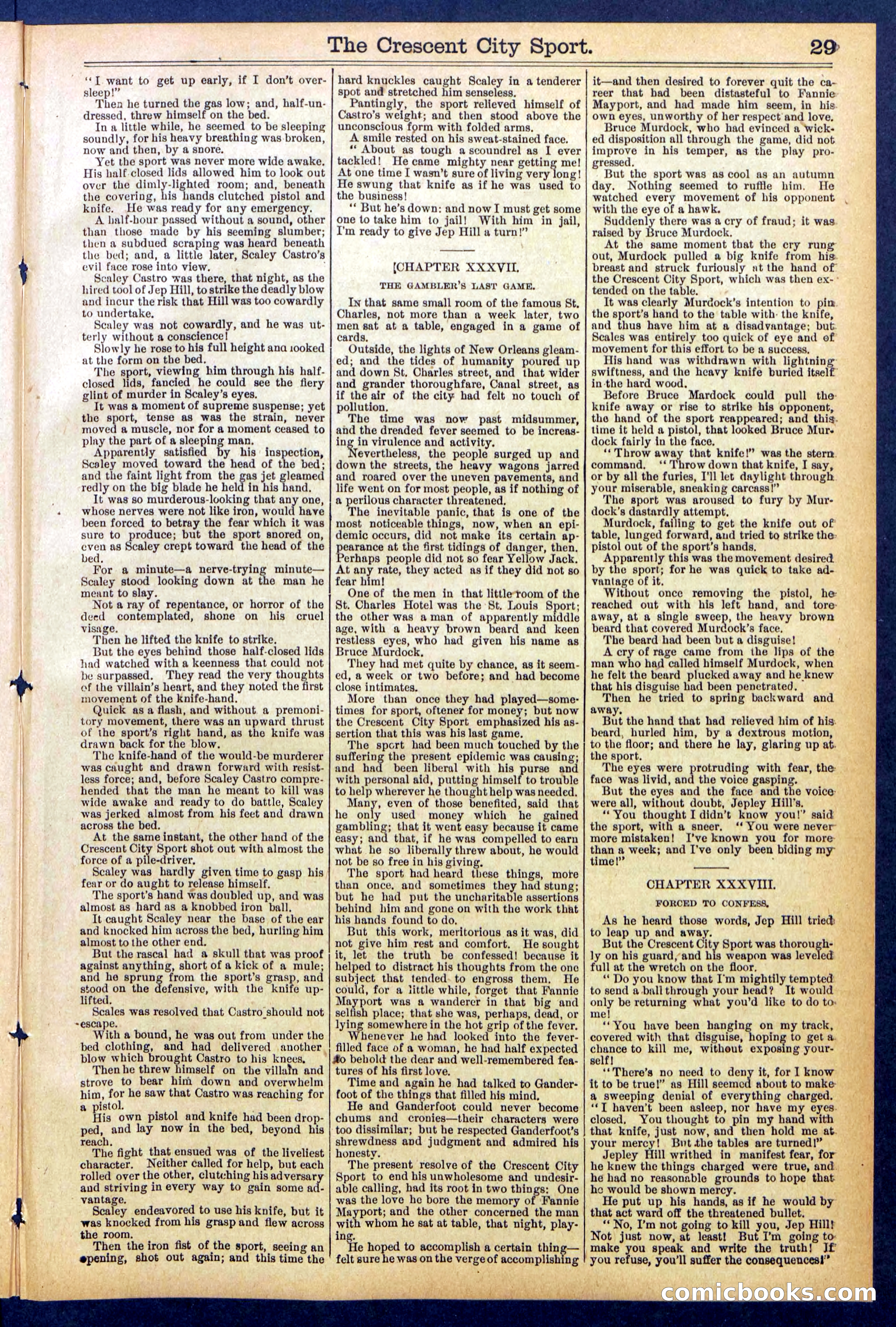 Beadle's New York Dime Library No. 843 — page 29 of 32