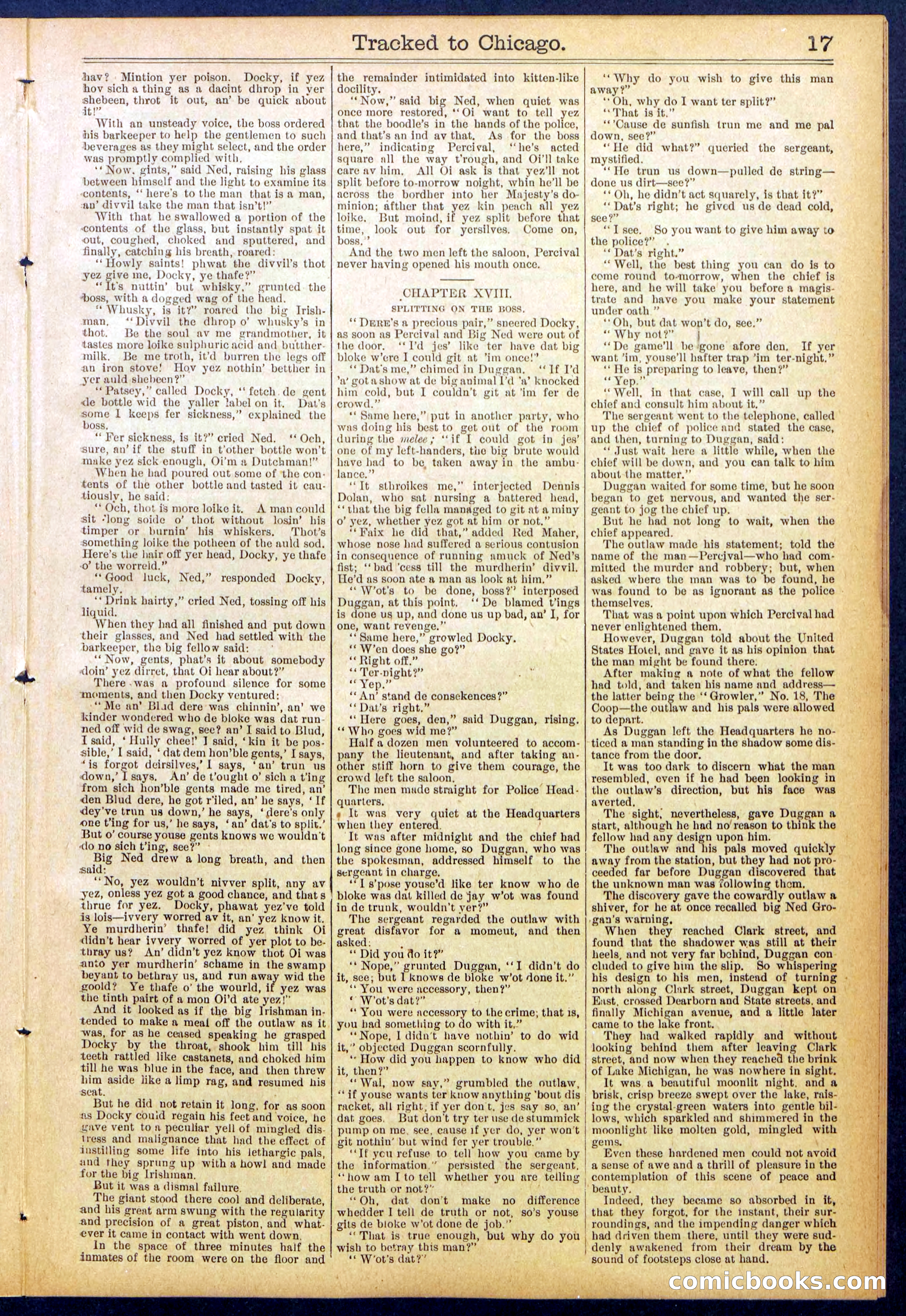 Beadle's New York Dime Library No. 844 — page 17 of 32