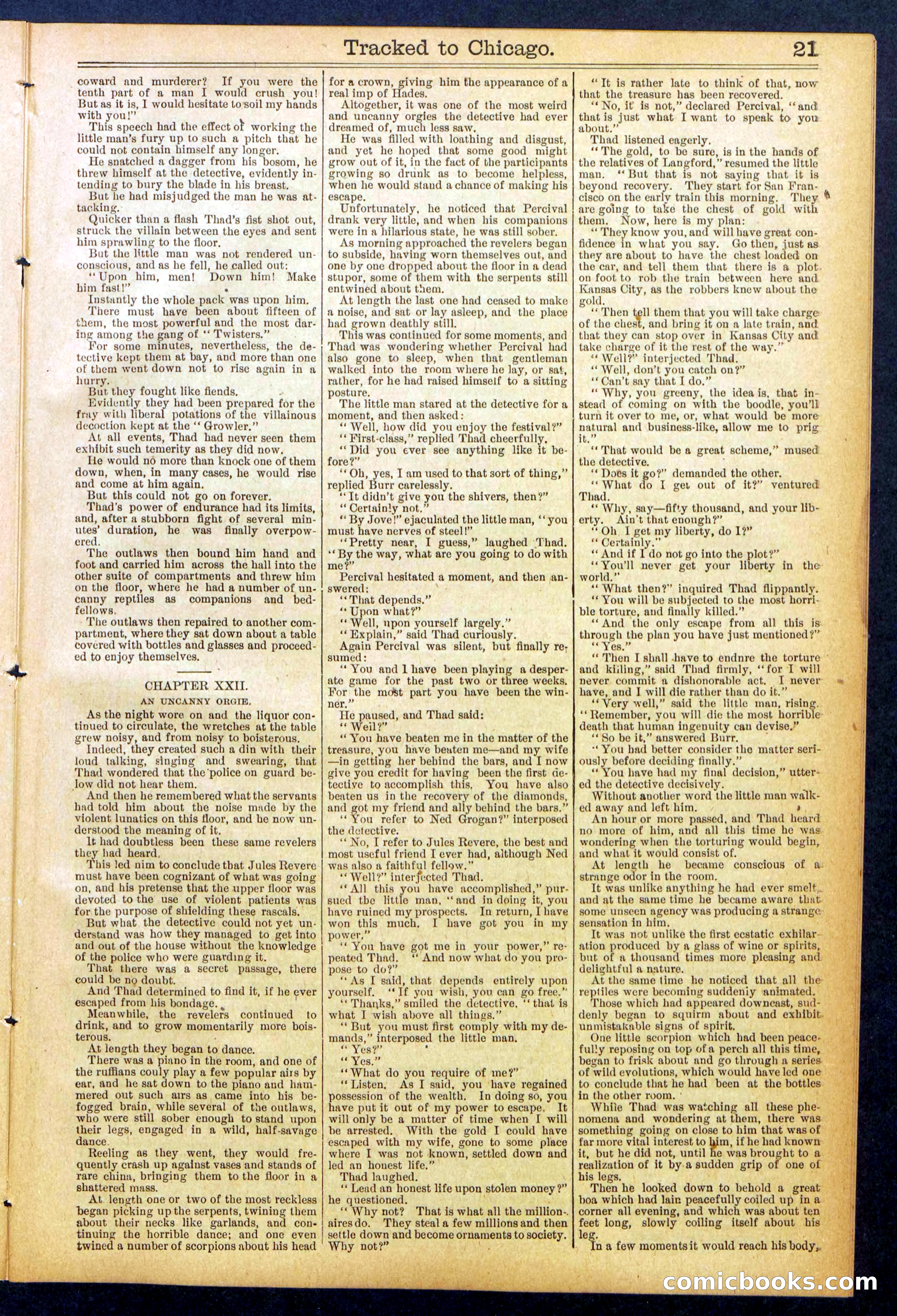 Beadle's New York Dime Library No. 844 — page 21 of 32
