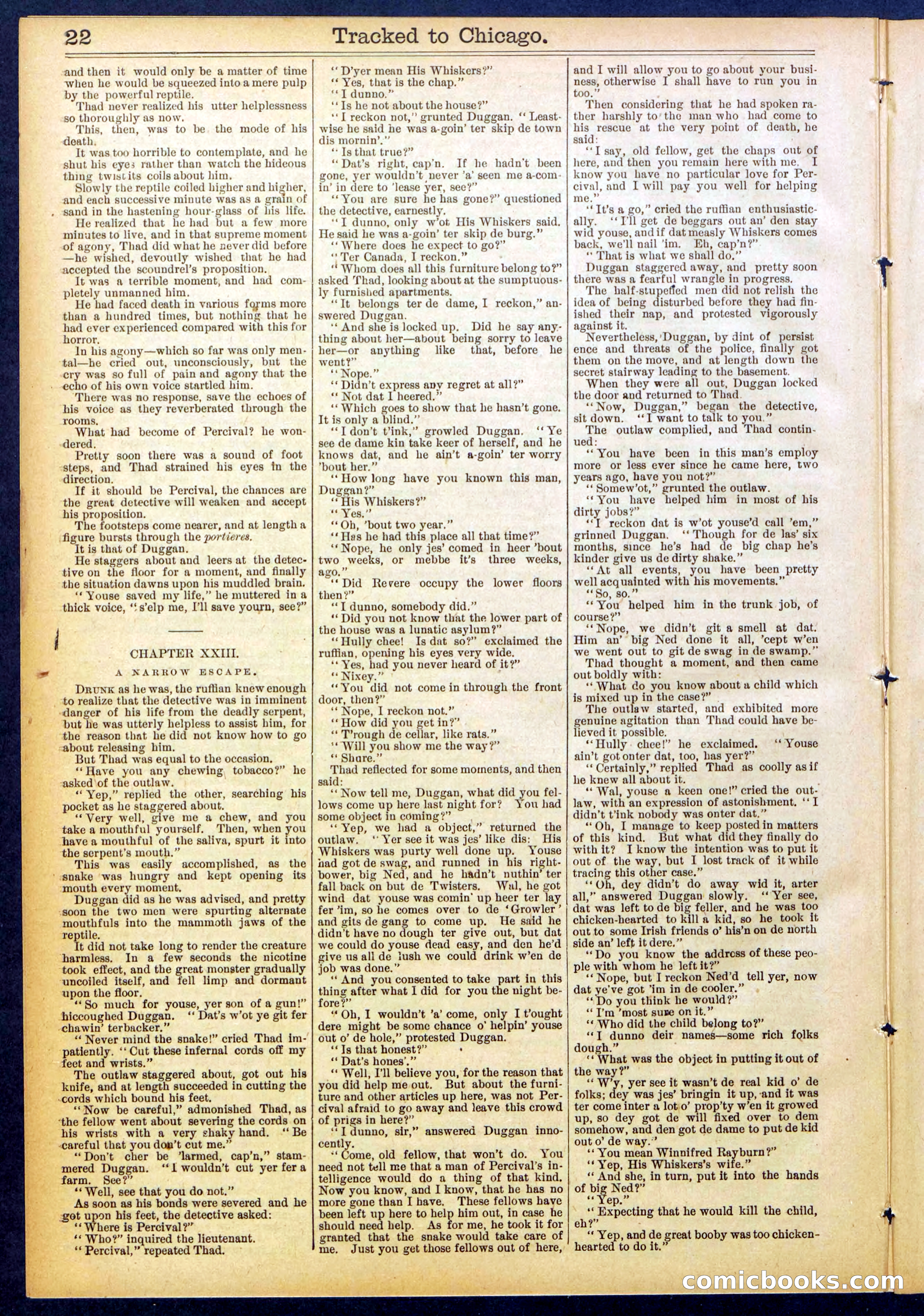 Beadle's New York Dime Library No. 844 — page 22 of 32