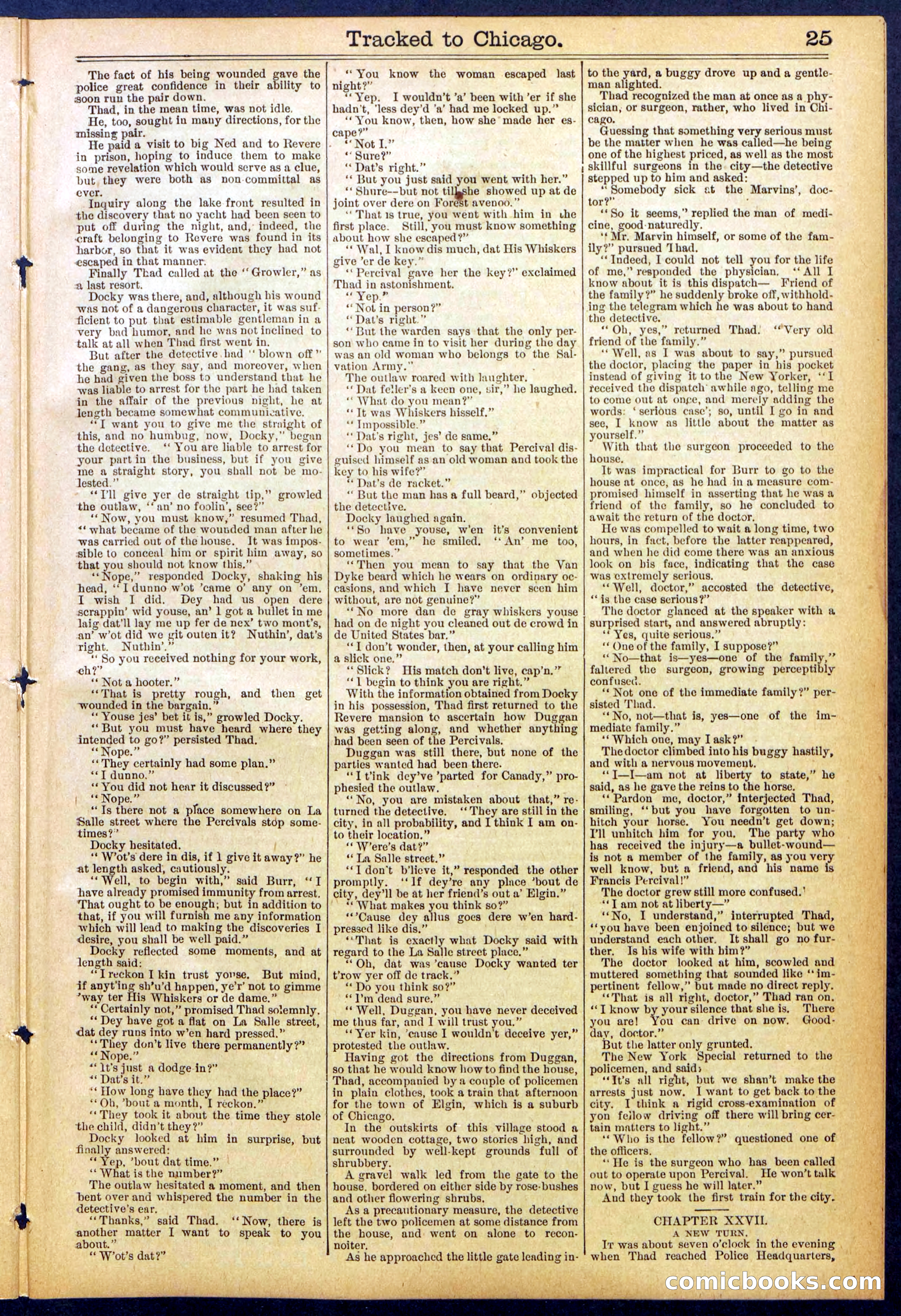 Beadle's New York Dime Library No. 844 — page 25 of 32