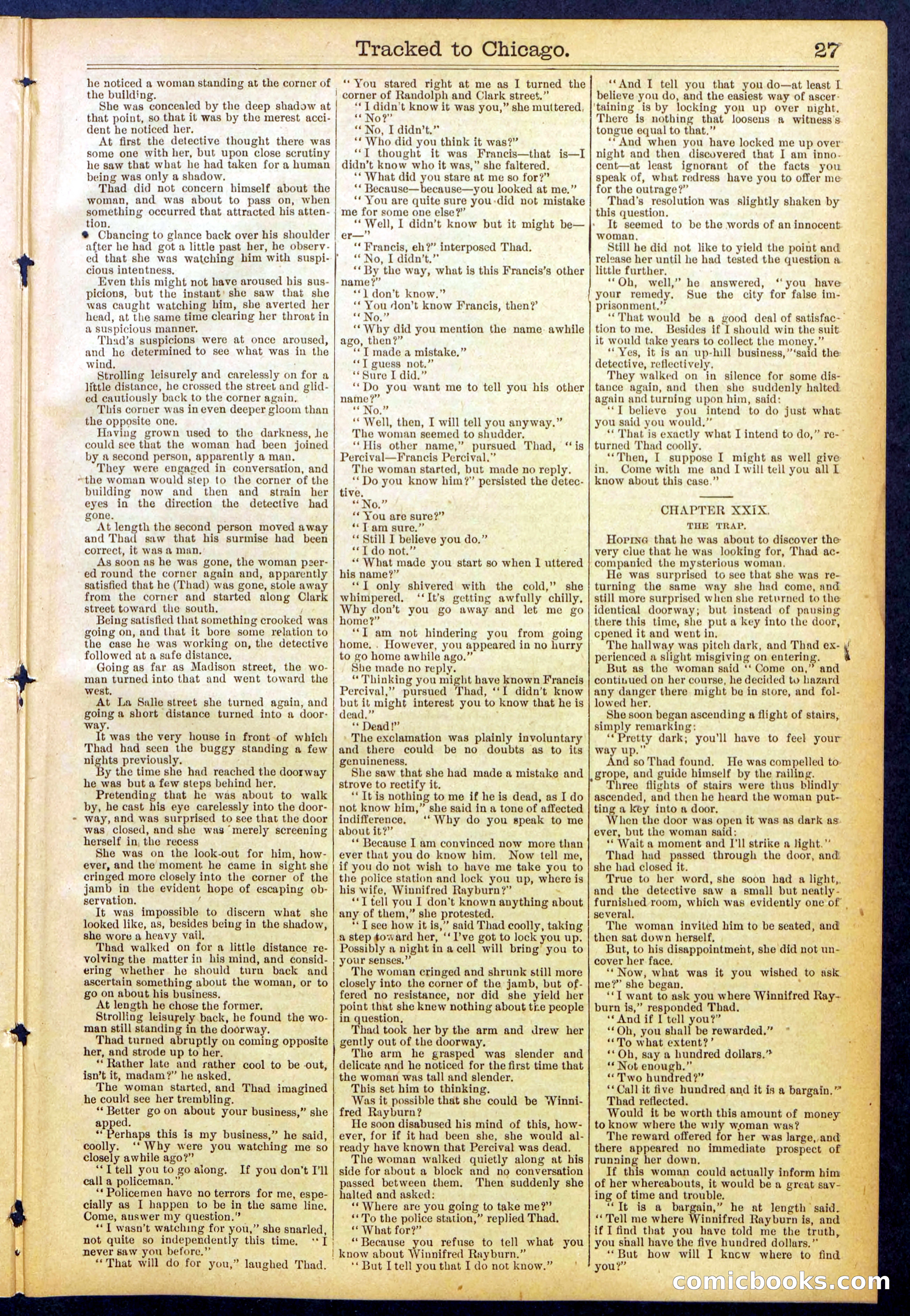 Beadle's New York Dime Library No. 844 — page 27 of 32