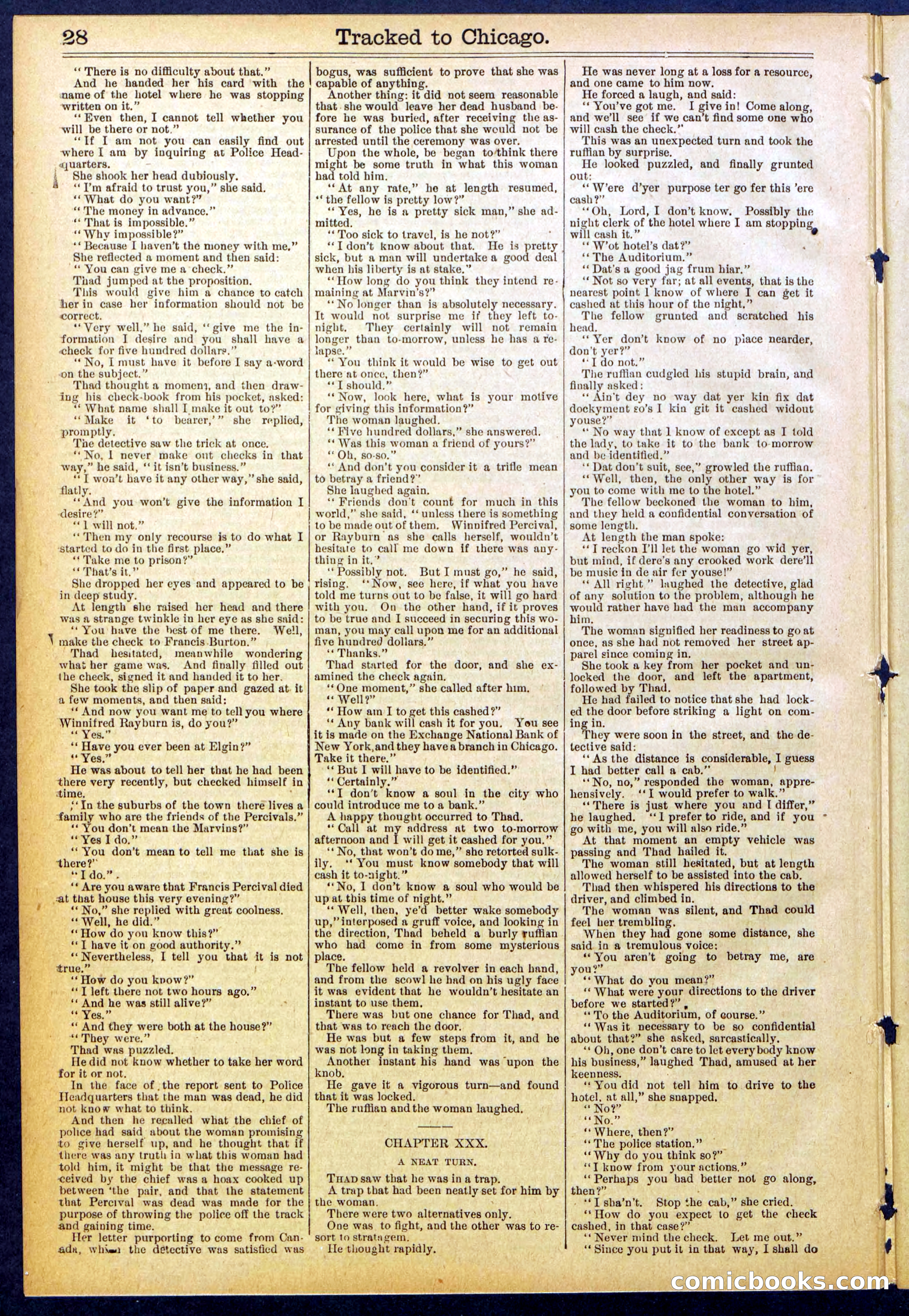 Beadle's New York Dime Library No. 844 — page 28 of 32