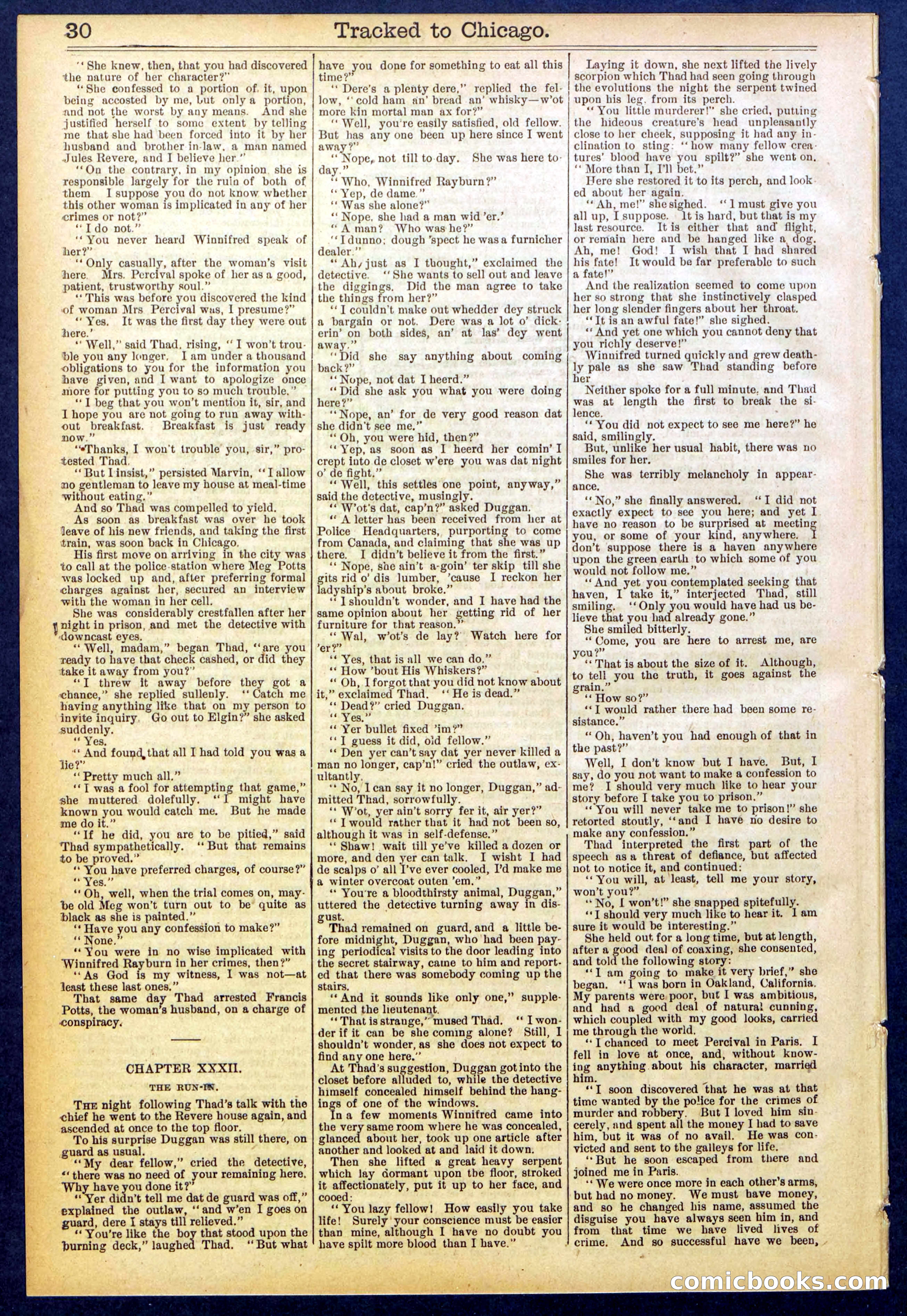 Beadle's New York Dime Library No. 844 — page 30 of 32