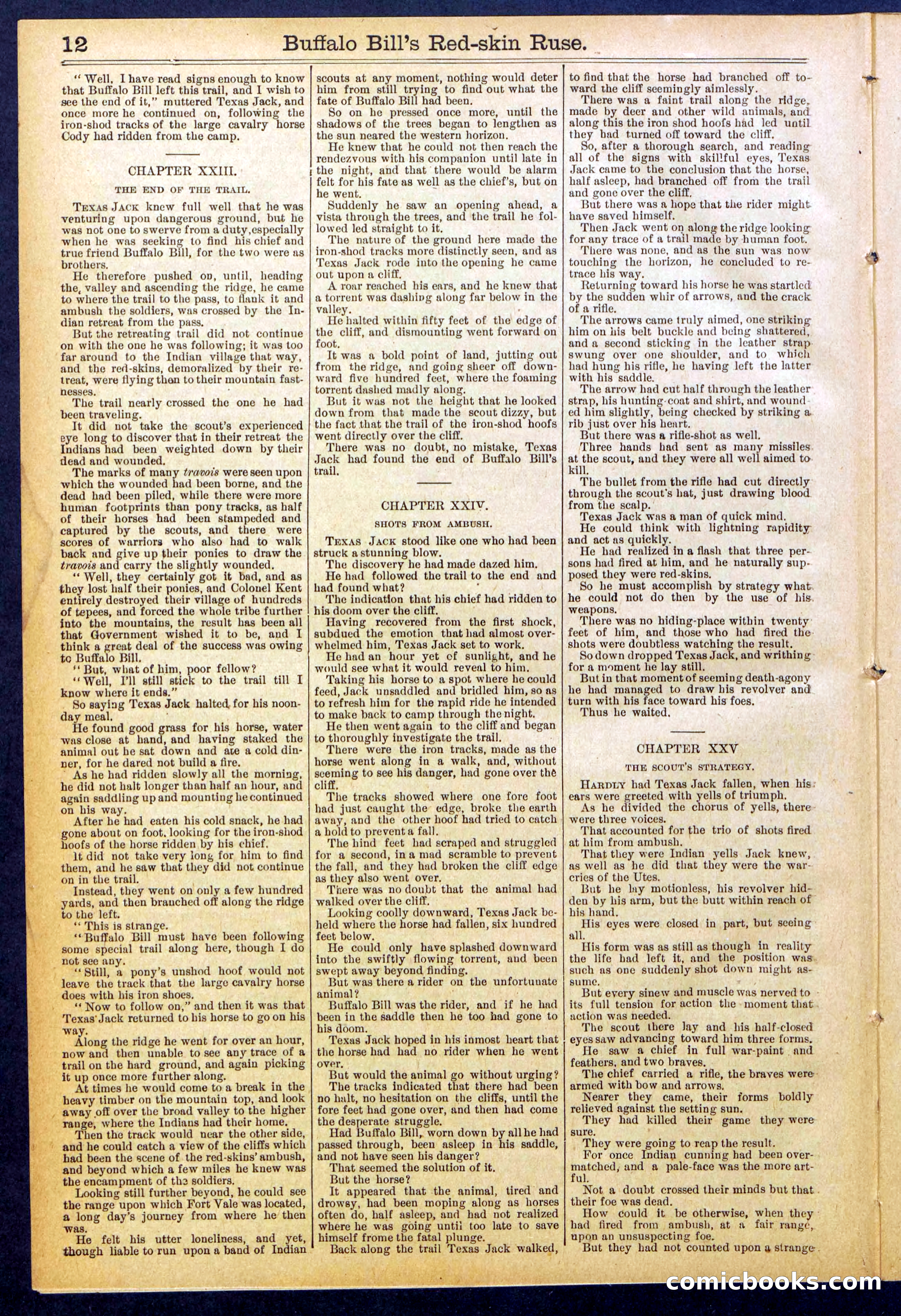 Beadle's Dime Library No. 845 — page 12 of 32