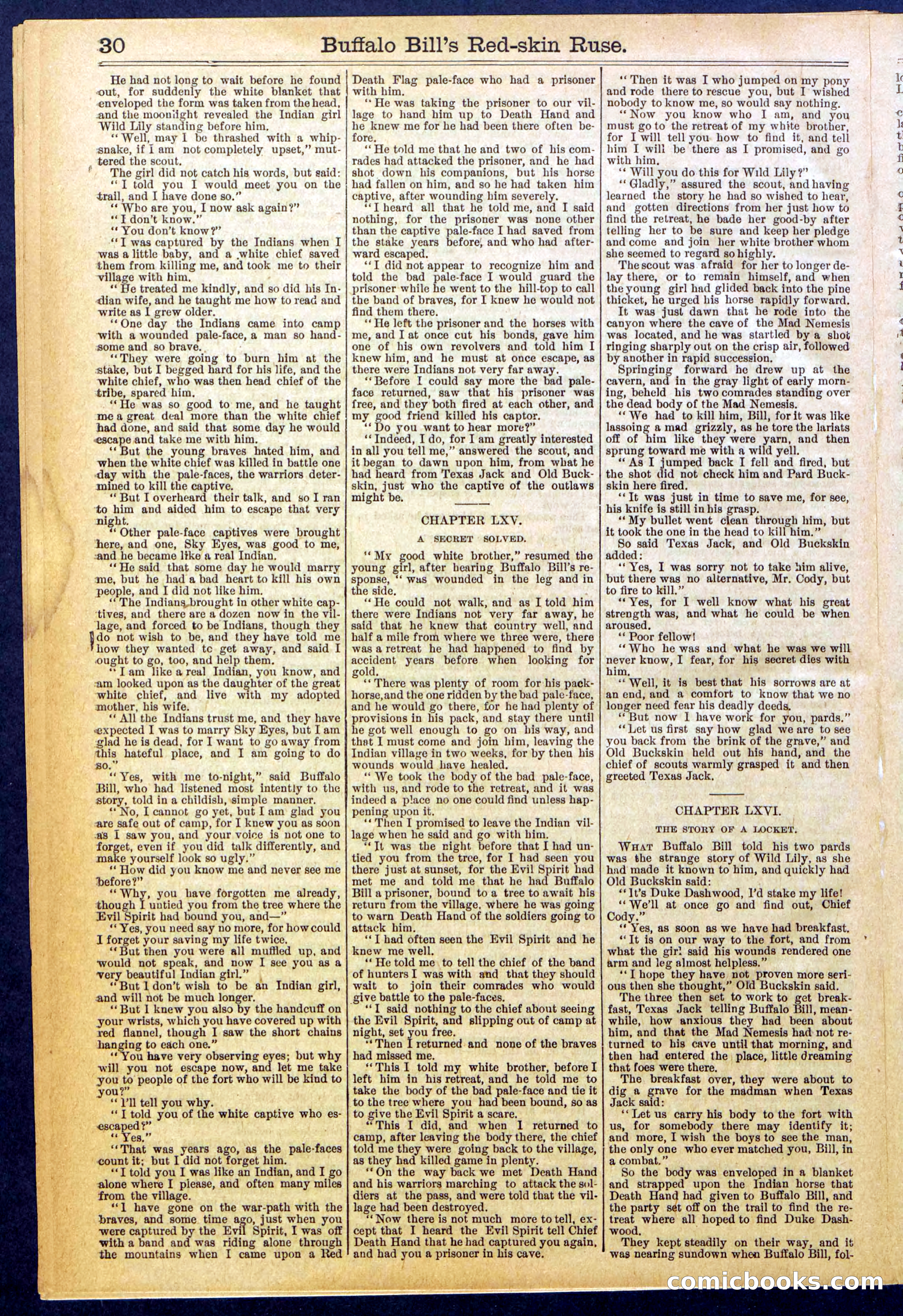 Beadle's Dime Library No. 845 — page 30 of 32