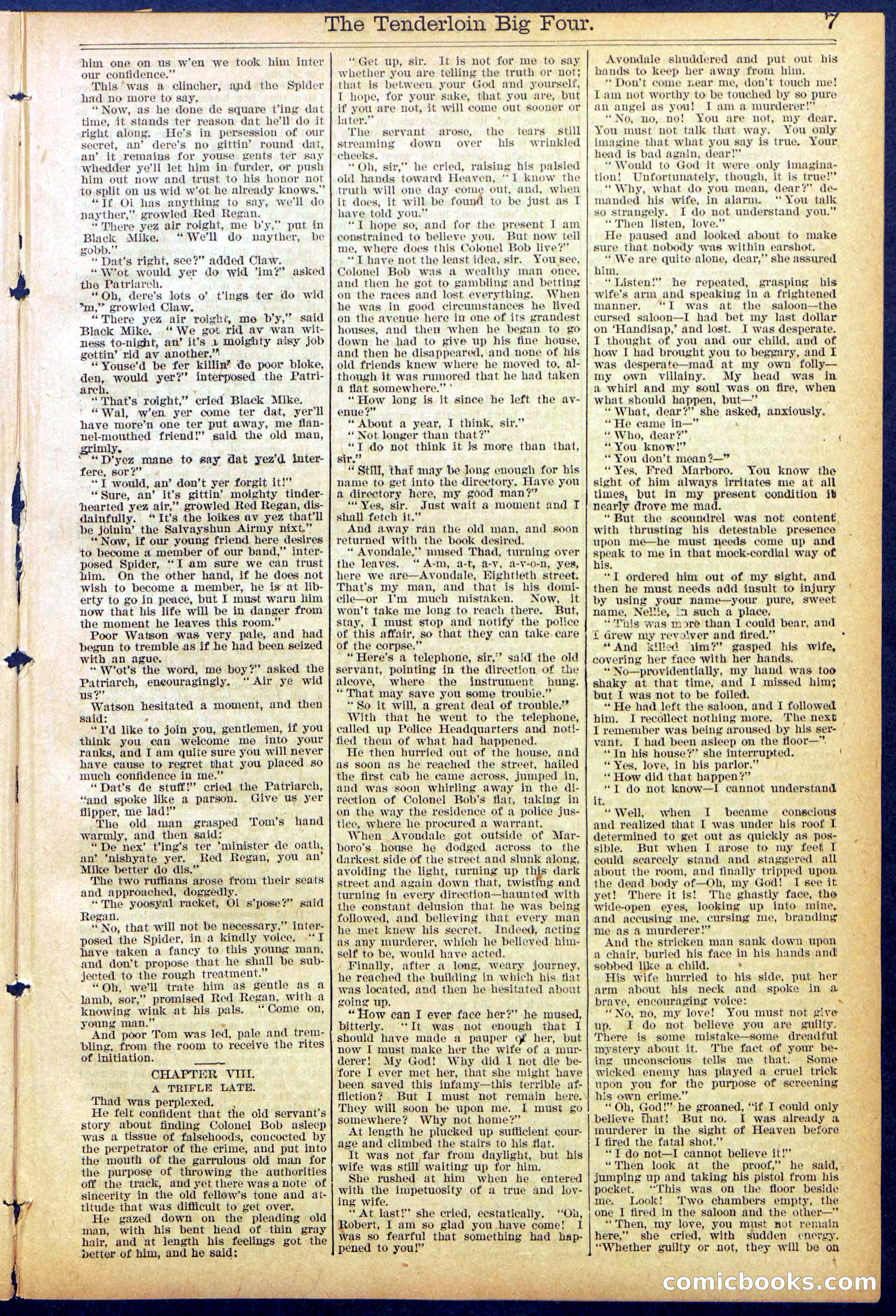 Beadle's New York Dime Library No. 861 — page 7 of 32