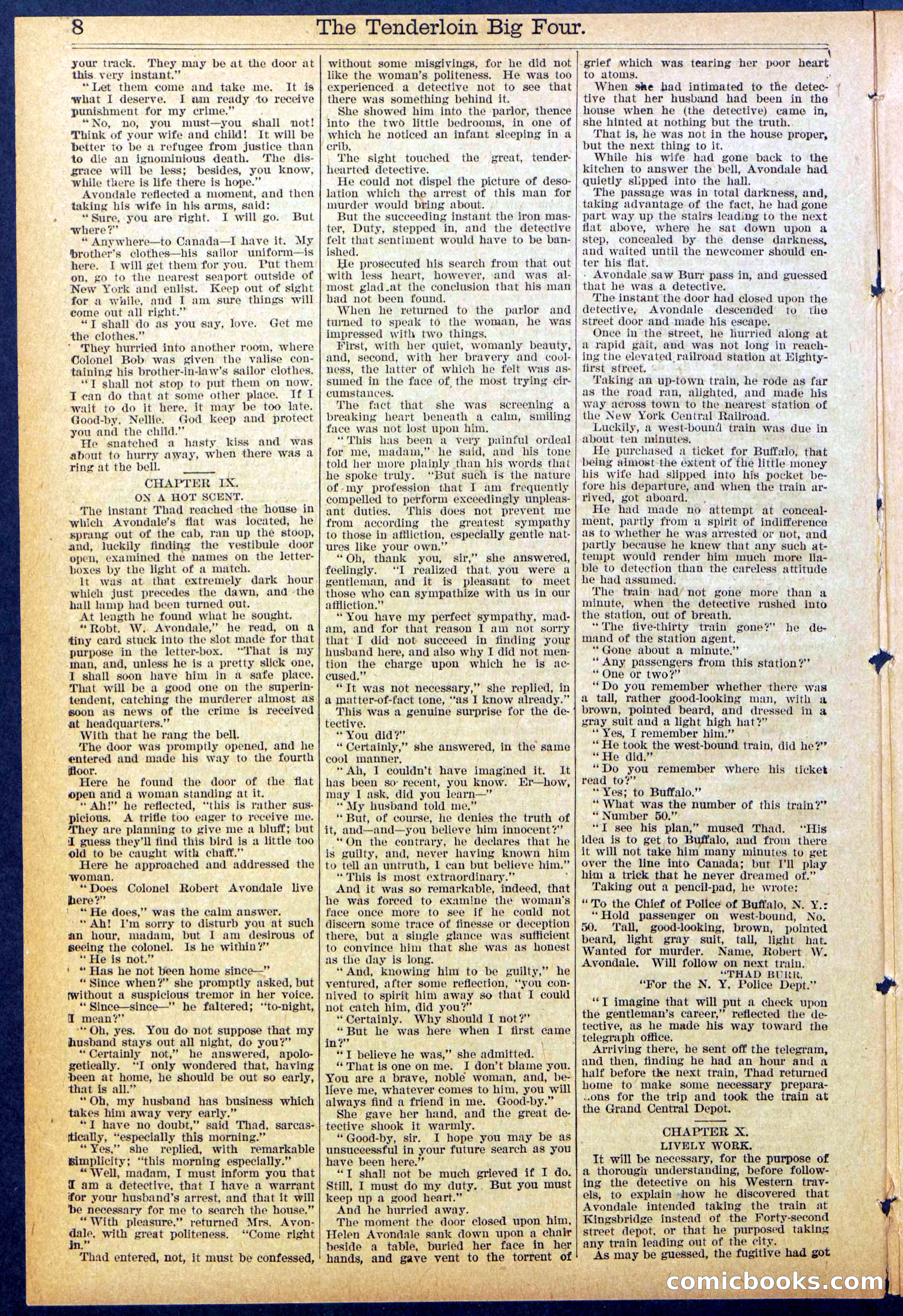 Beadle's New York Dime Library No. 861 — page 8 of 32