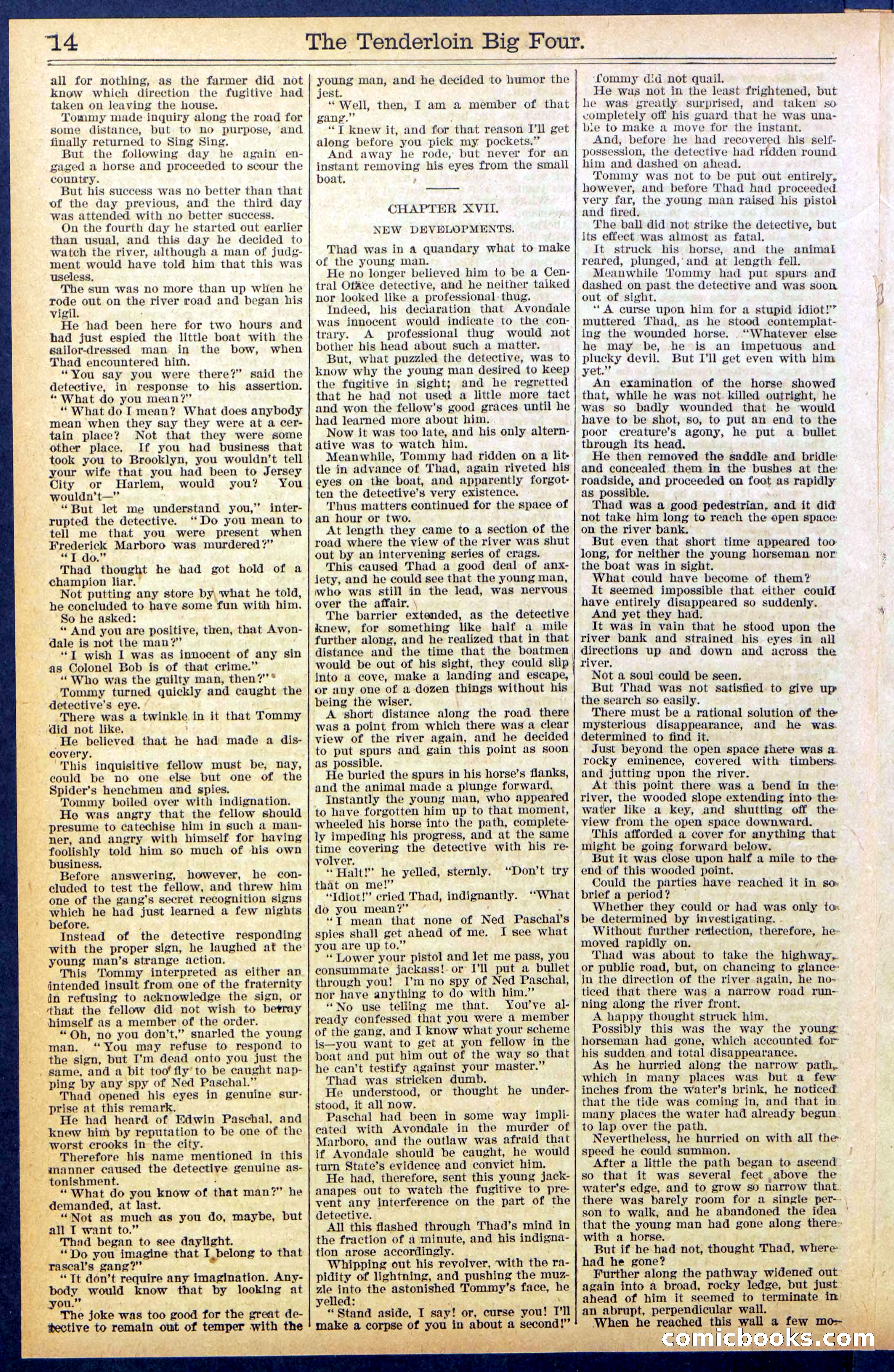 Beadle's New York Dime Library No. 861 — page 14 of 32