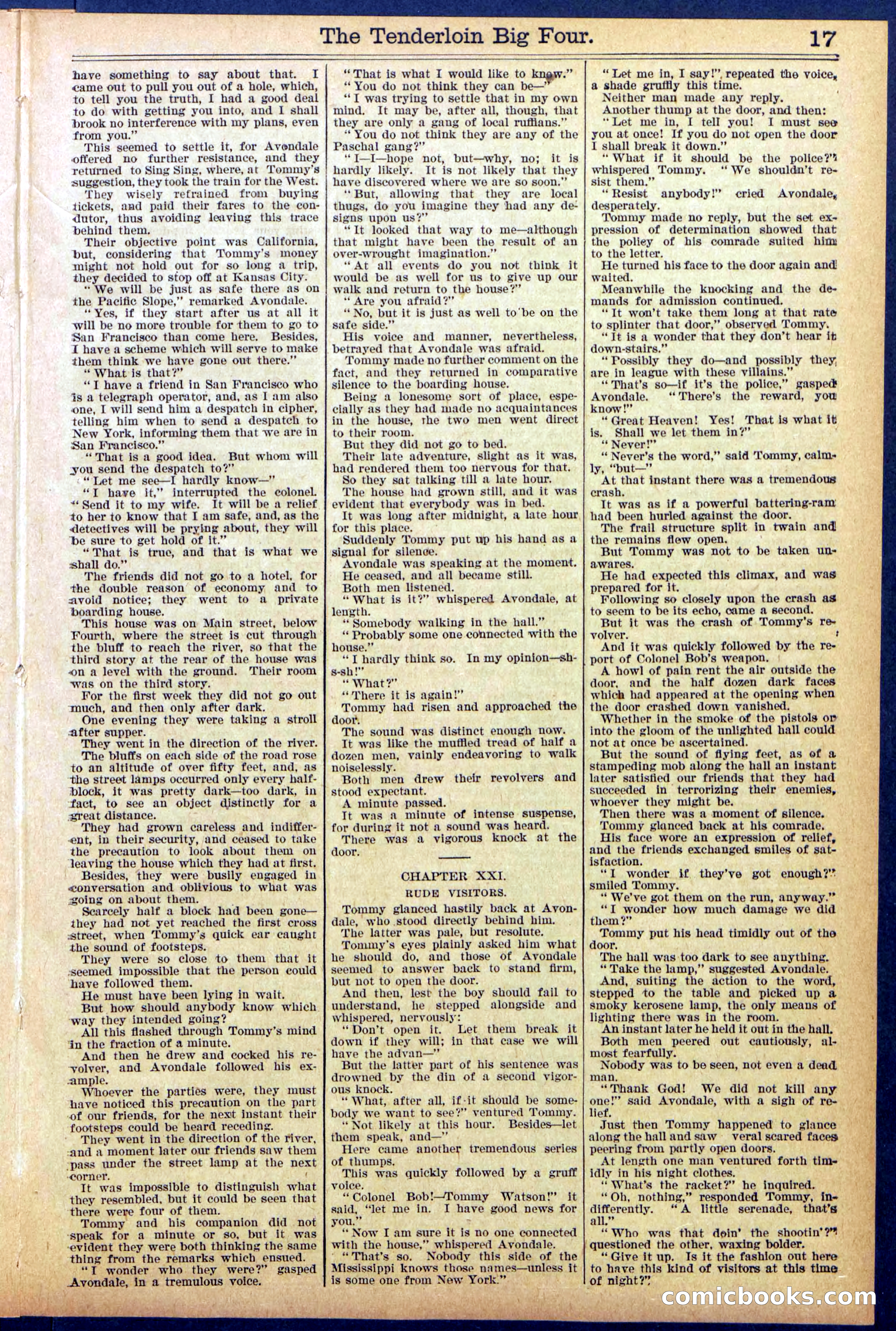 Beadle's New York Dime Library No. 861 — page 17 of 32