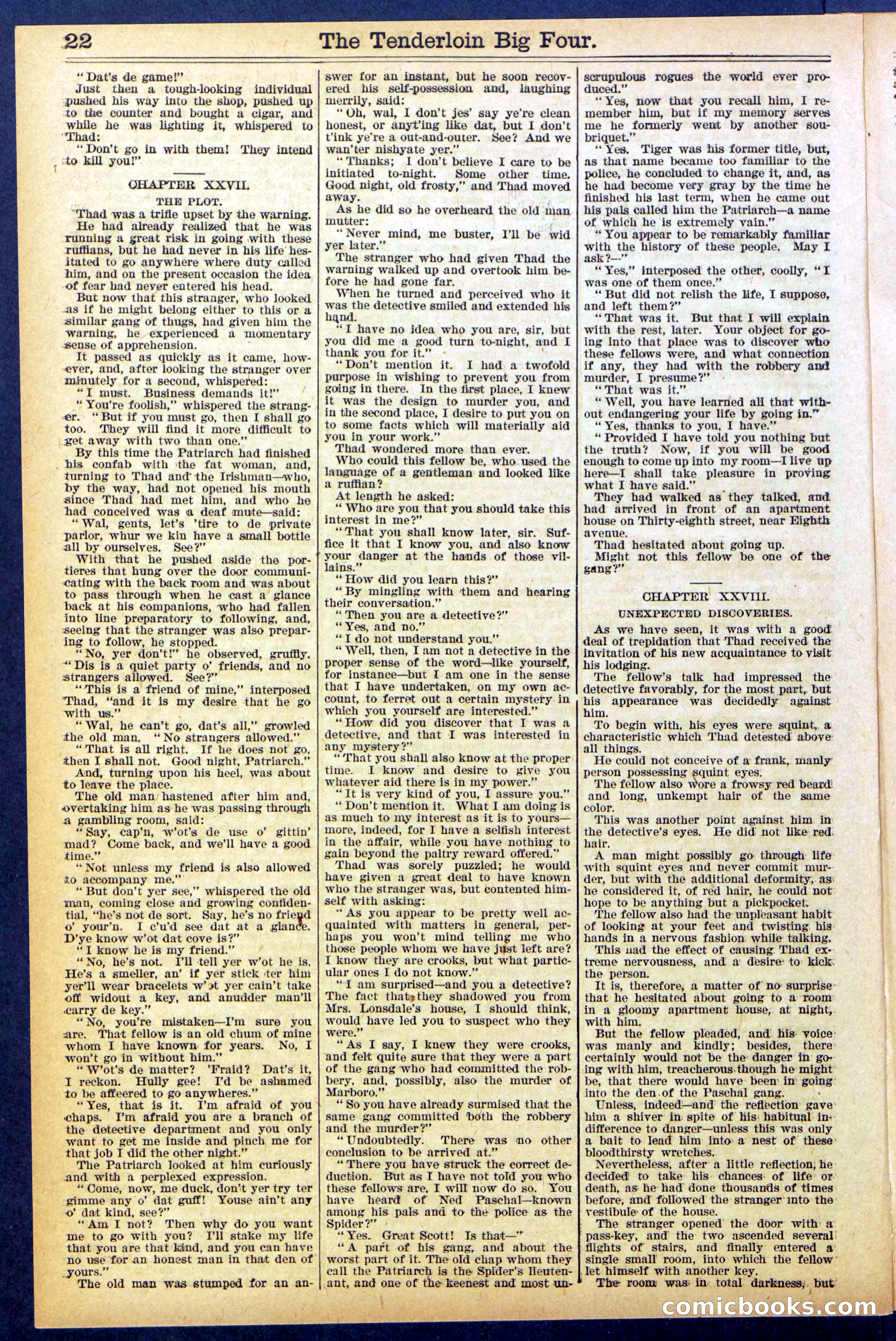 Beadle's New York Dime Library No. 861 — page 22 of 32
