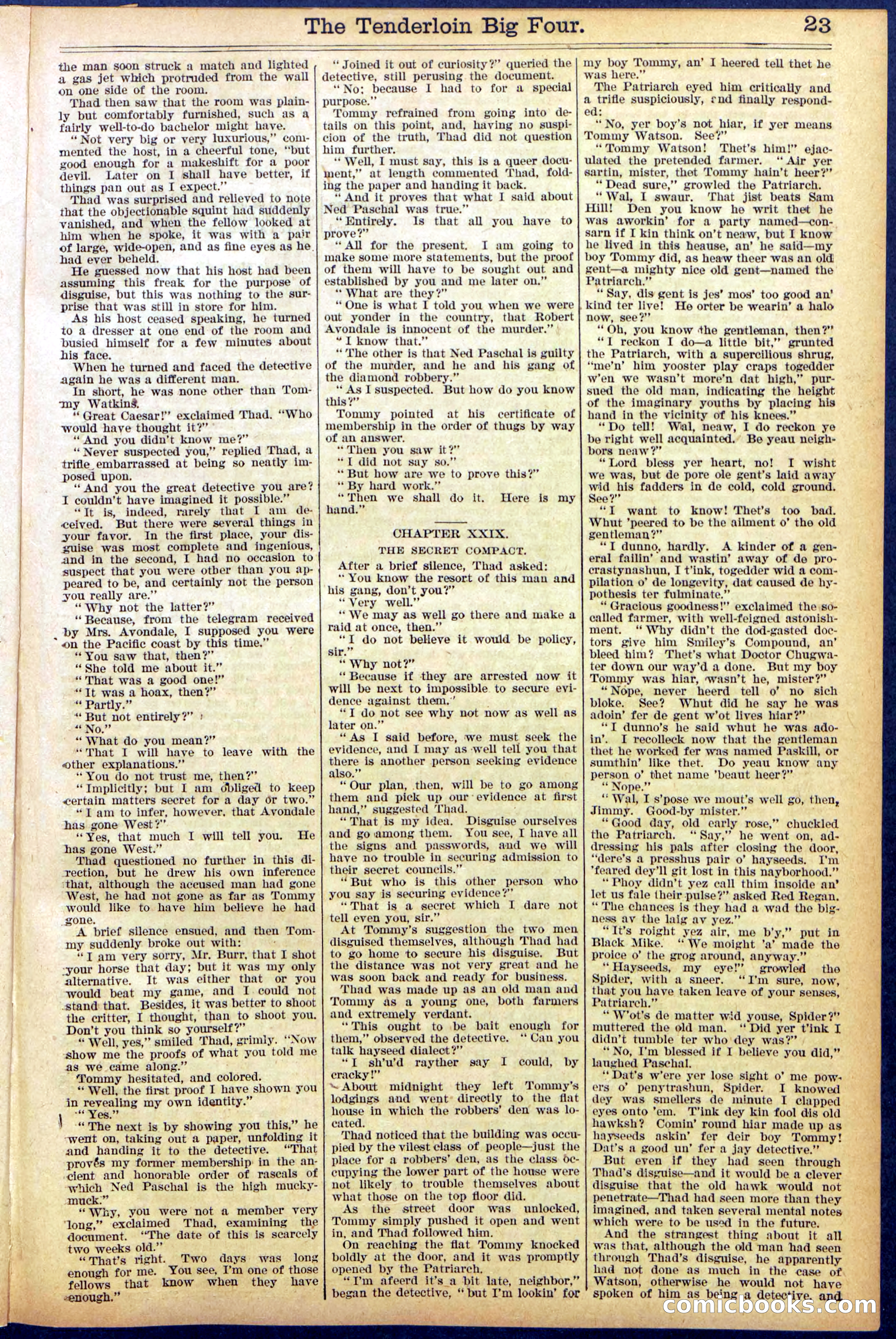 Beadle's New York Dime Library No. 861 — page 23 of 32