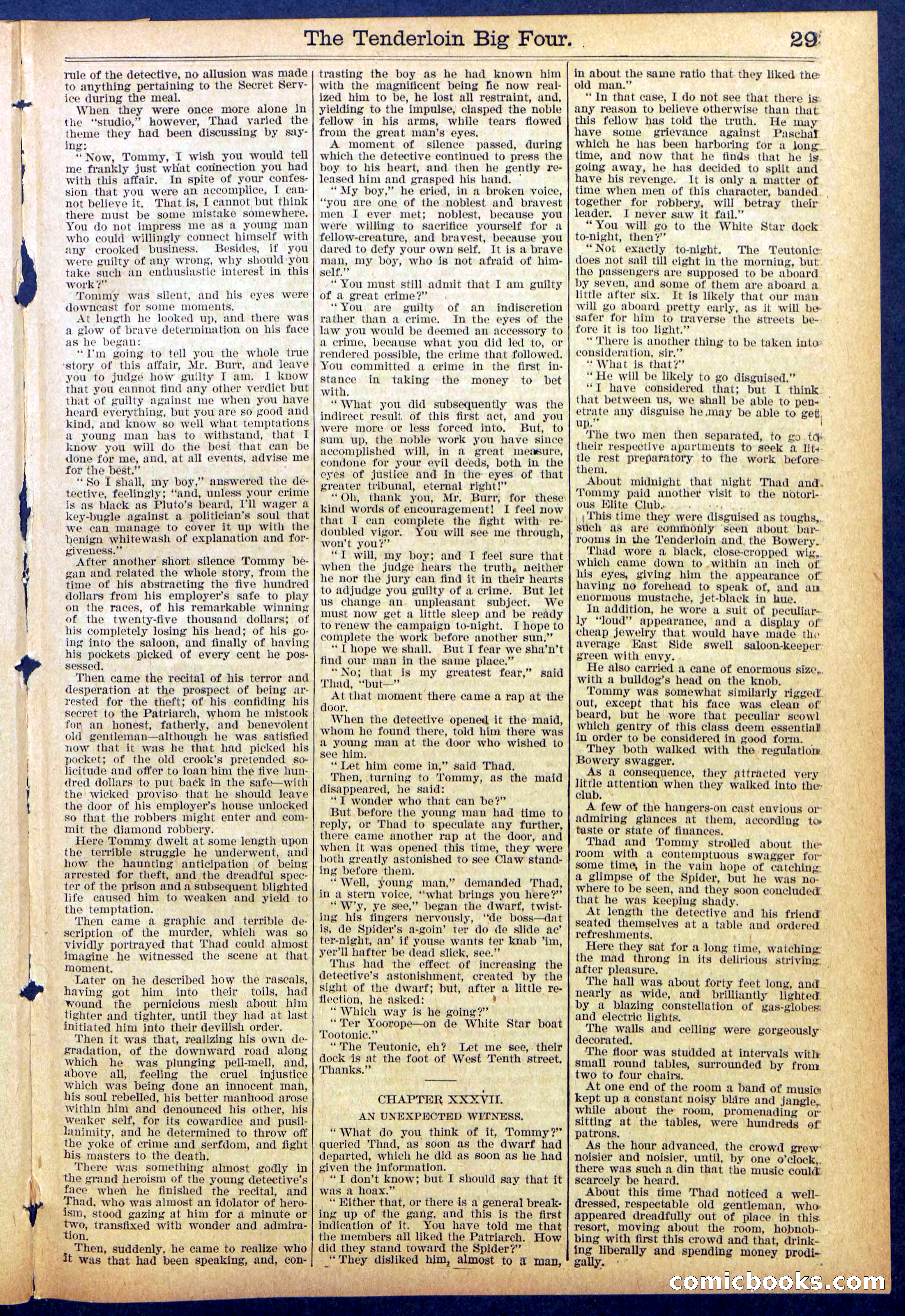 Beadle's New York Dime Library No. 861 — page 29 of 32