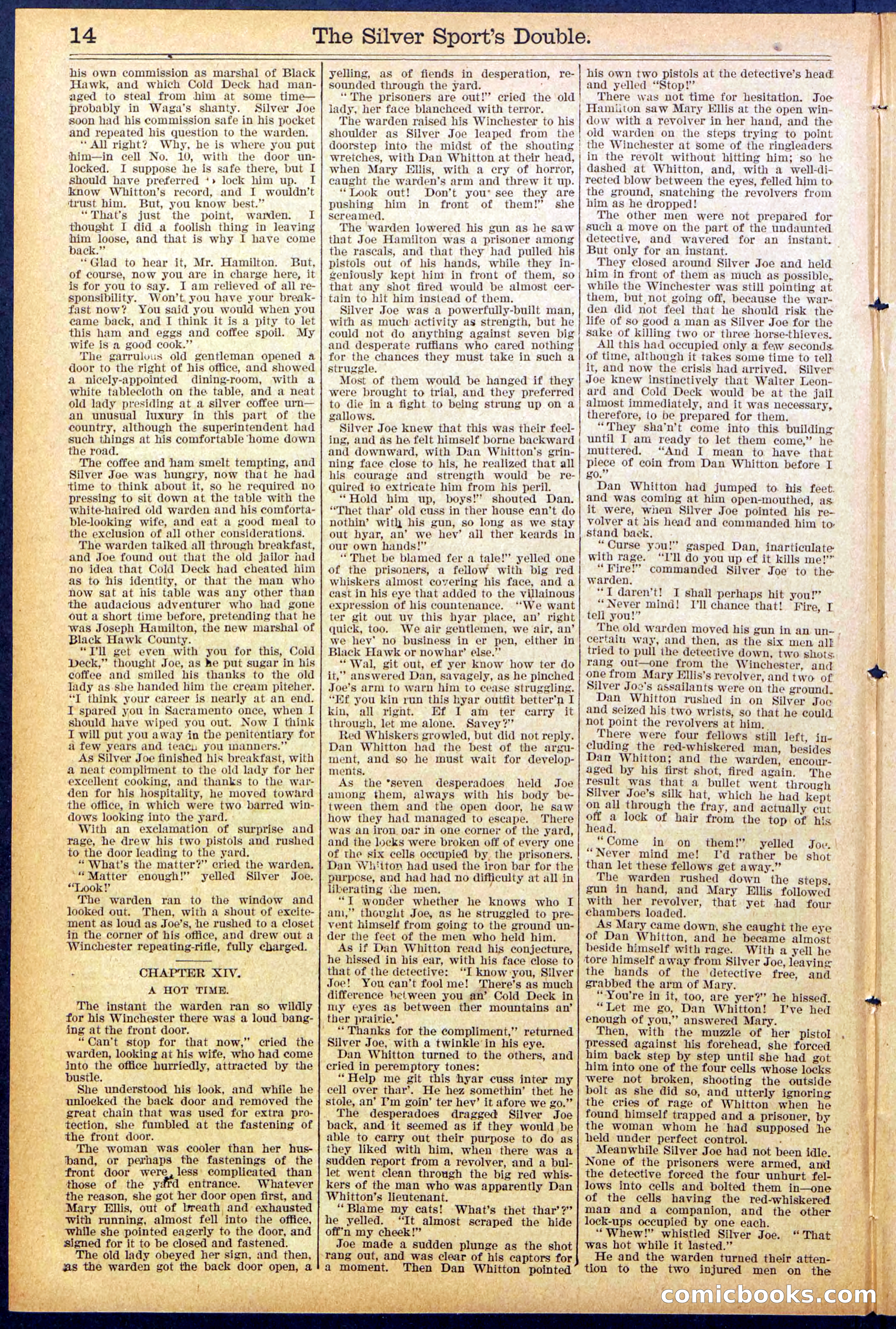Beadle's New York Dime Library No. 880 — page 14 of 32