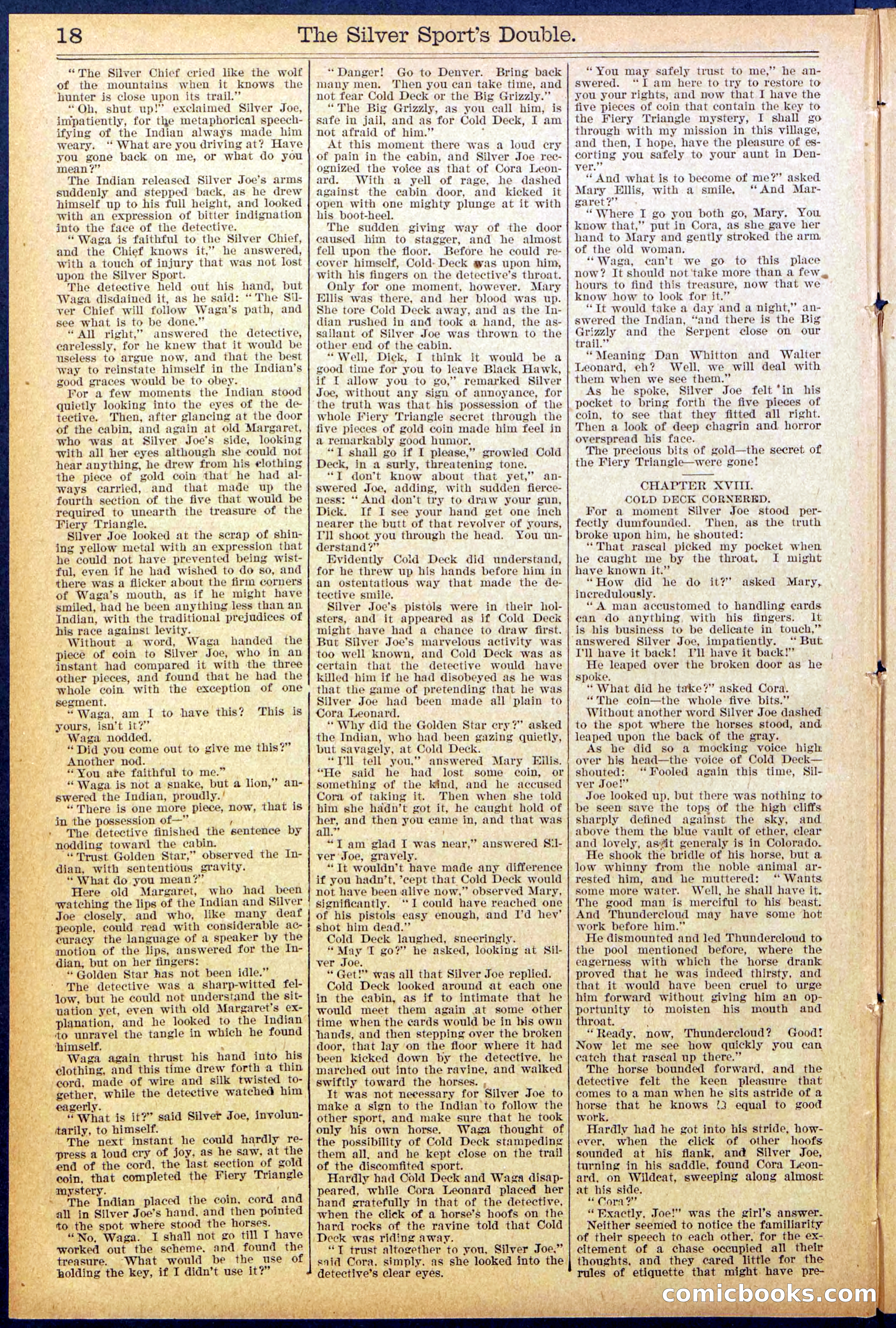 Beadle's New York Dime Library No. 880 — page 18 of 32