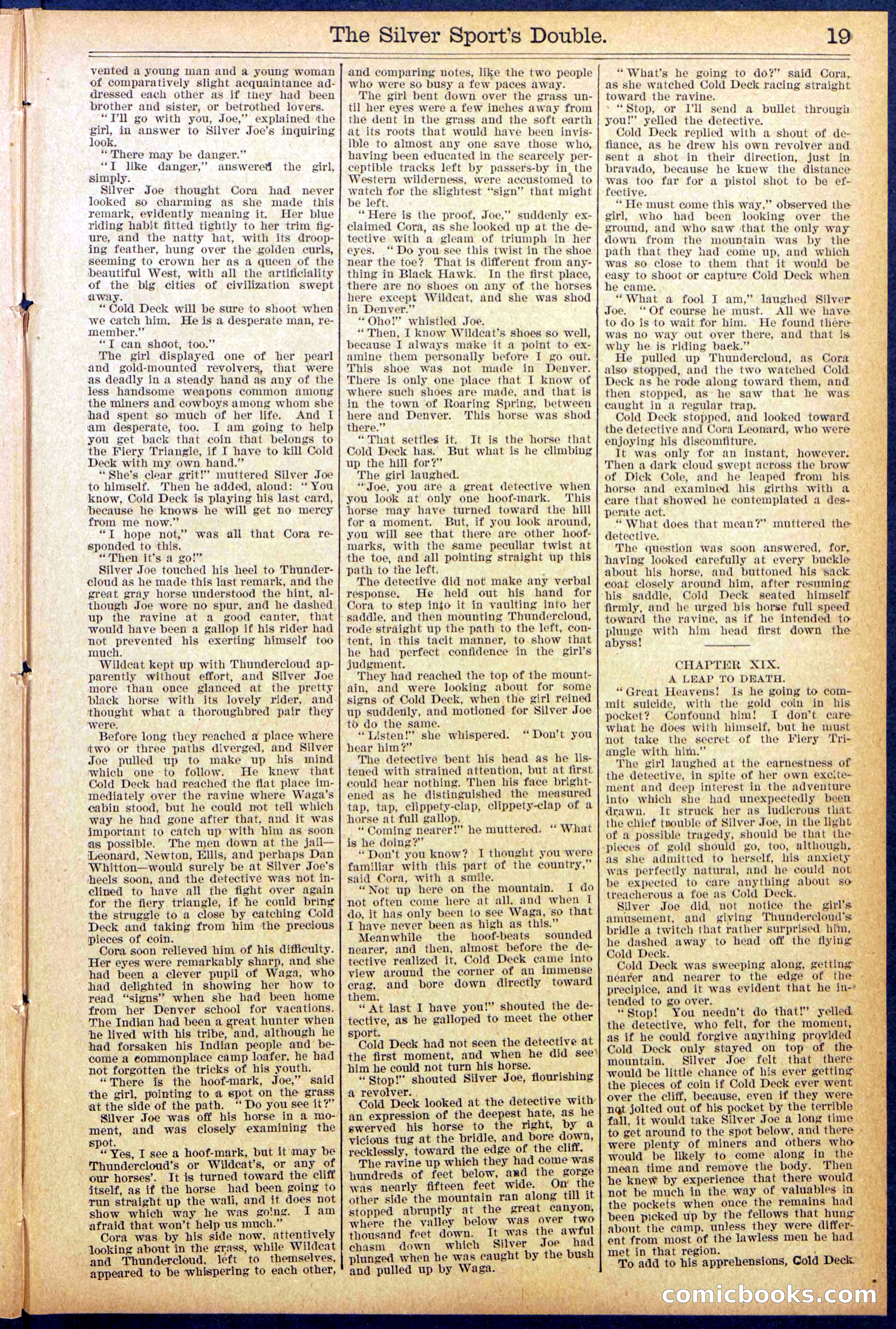 Beadle's New York Dime Library No. 880 — page 19 of 32