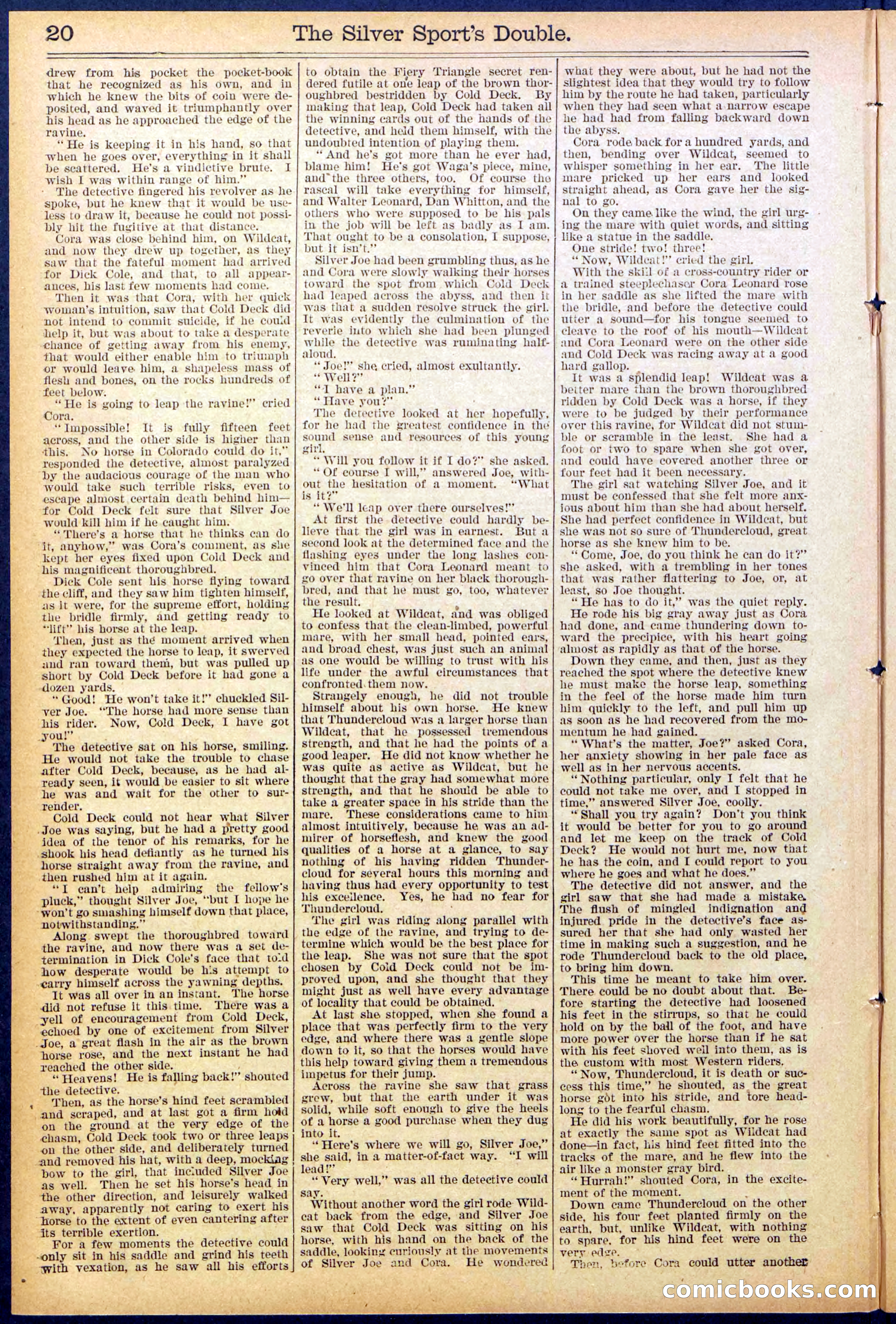 Beadle's New York Dime Library No. 880 — page 20 of 32