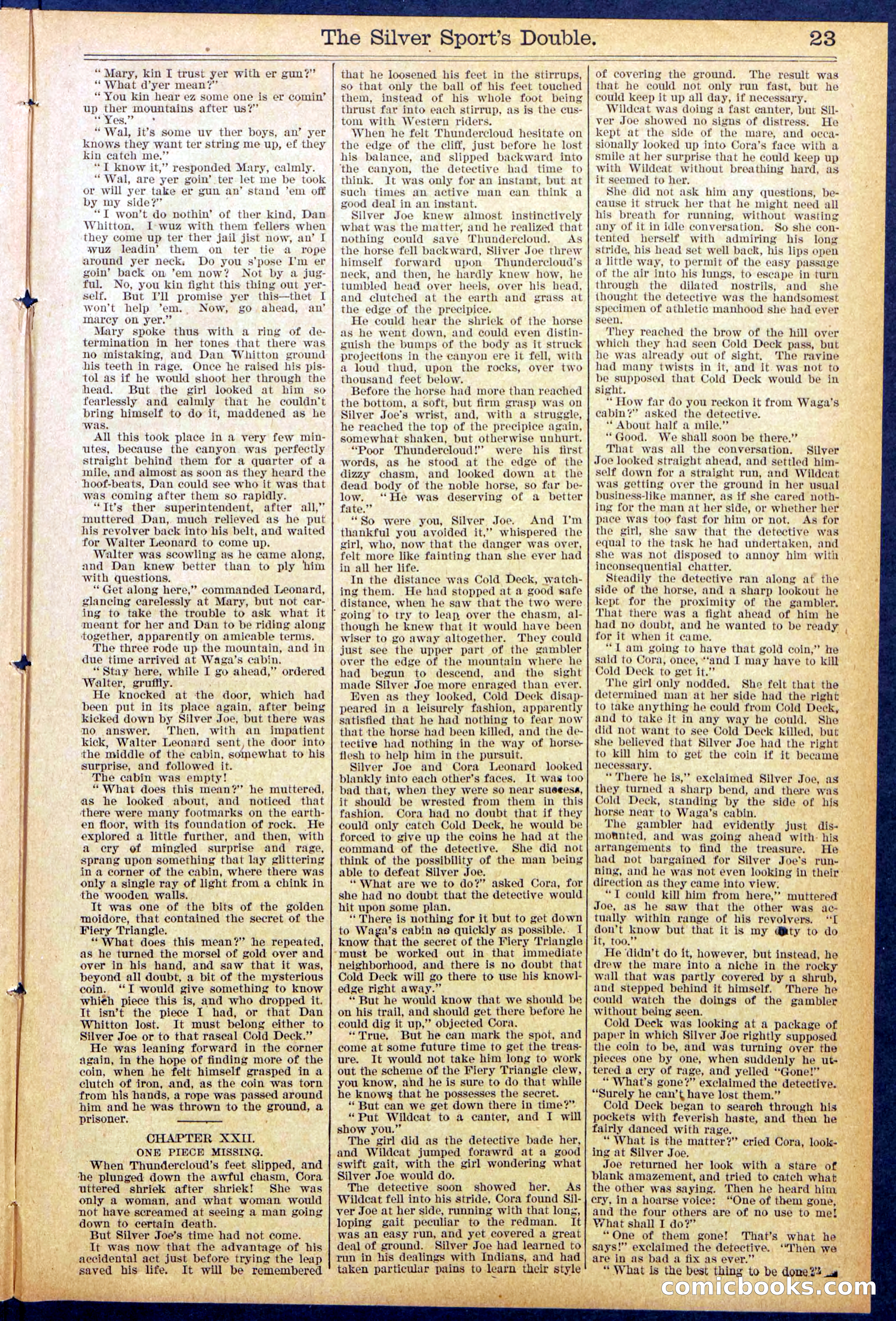 Beadle's New York Dime Library No. 880 — page 23 of 32