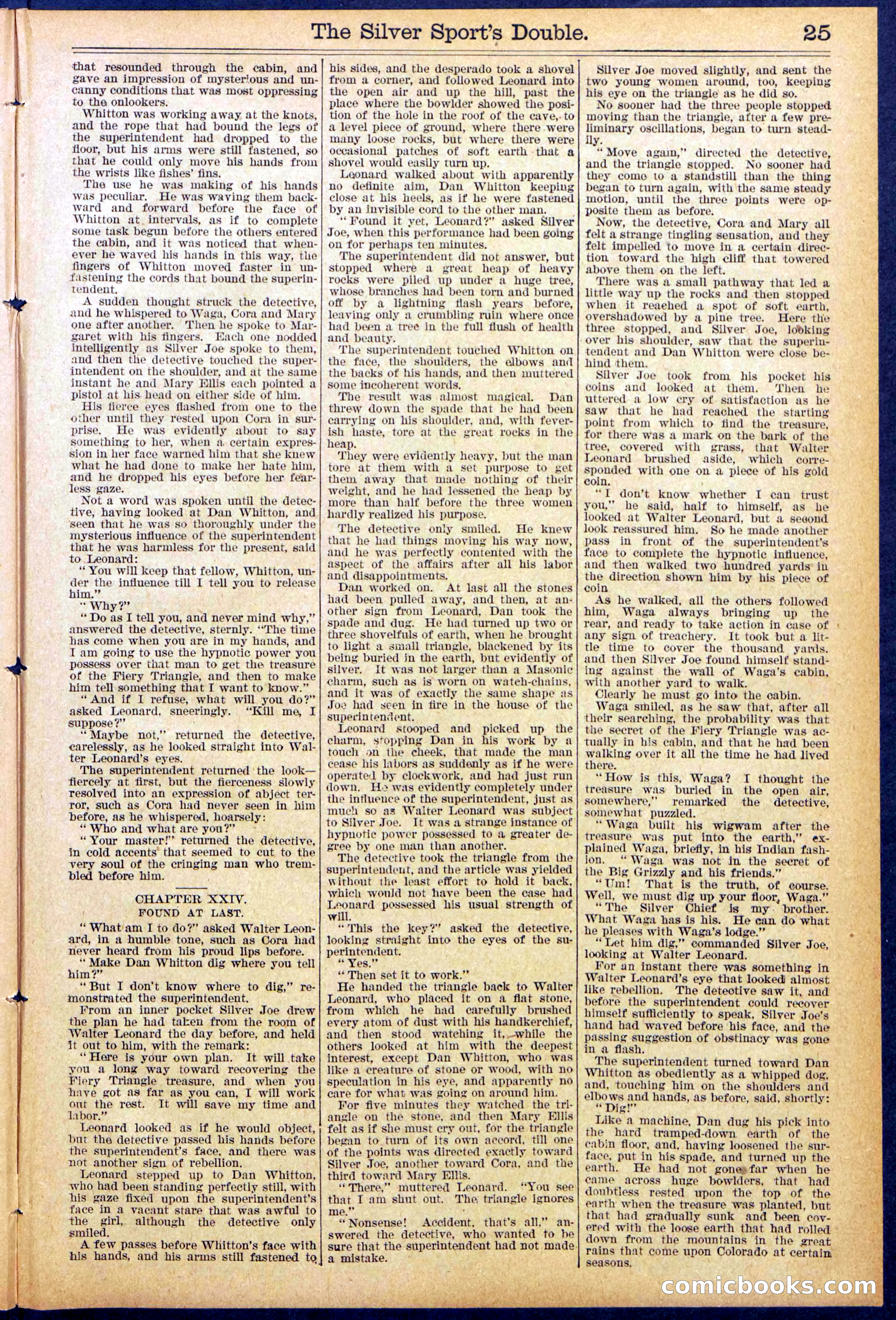 Beadle's New York Dime Library No. 880 — page 25 of 32
