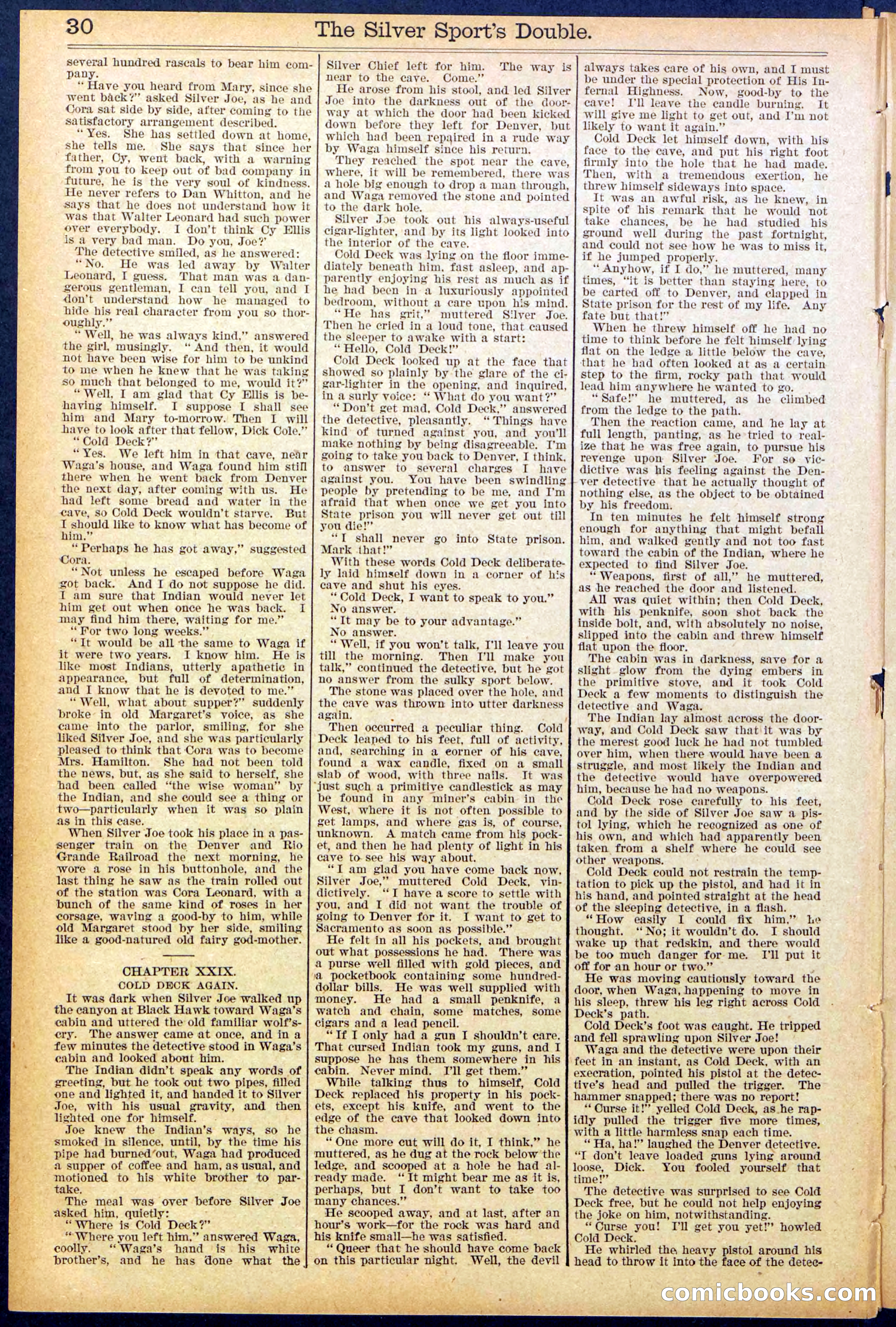Beadle's New York Dime Library No. 880 — page 30 of 32