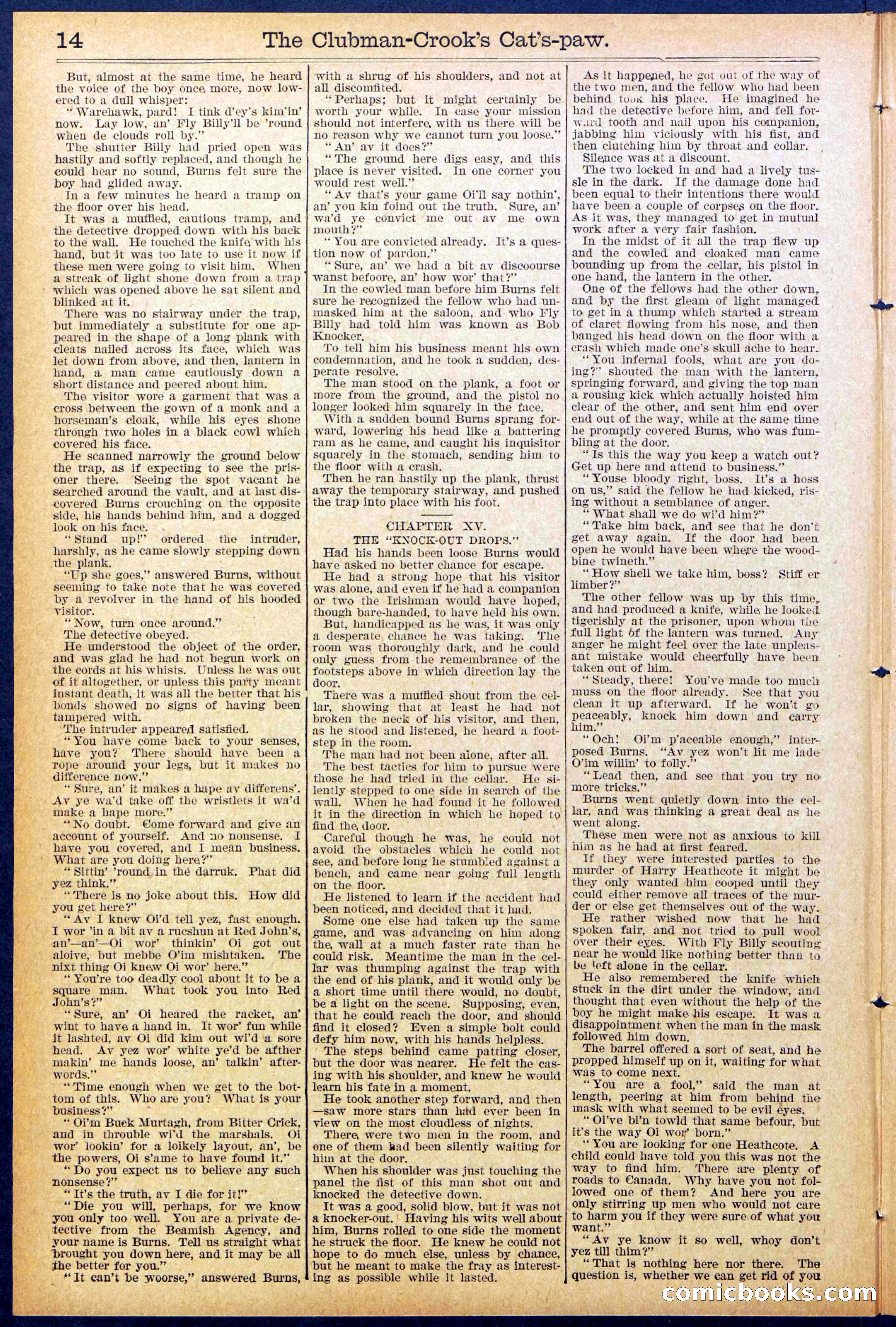 Beadle's New York Dime Library, No. 881 — page 14 of 32