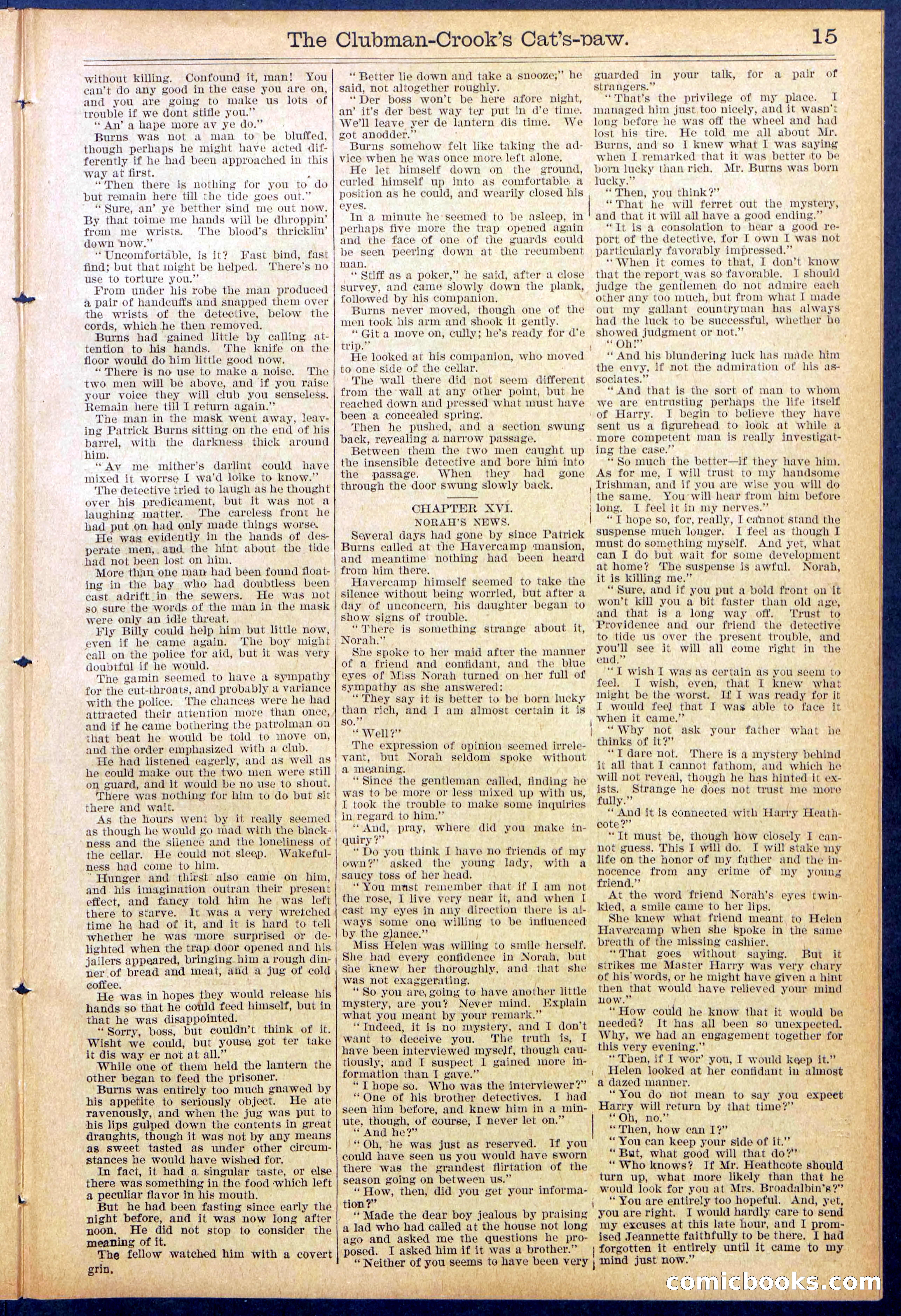 Beadle's New York Dime Library, No. 881 — page 15 of 32