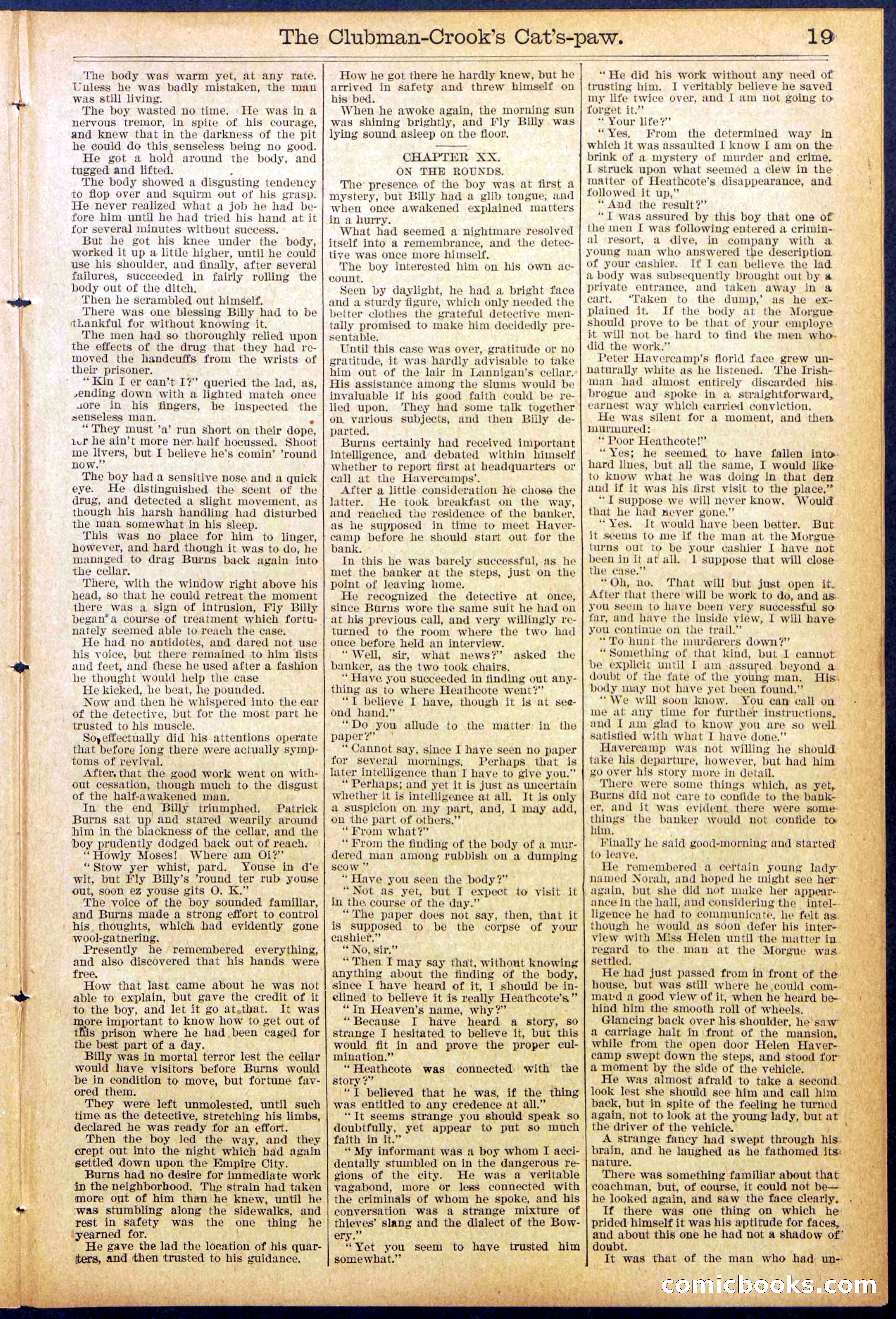 Beadle's New York Dime Library, No. 881 — page 19 of 32