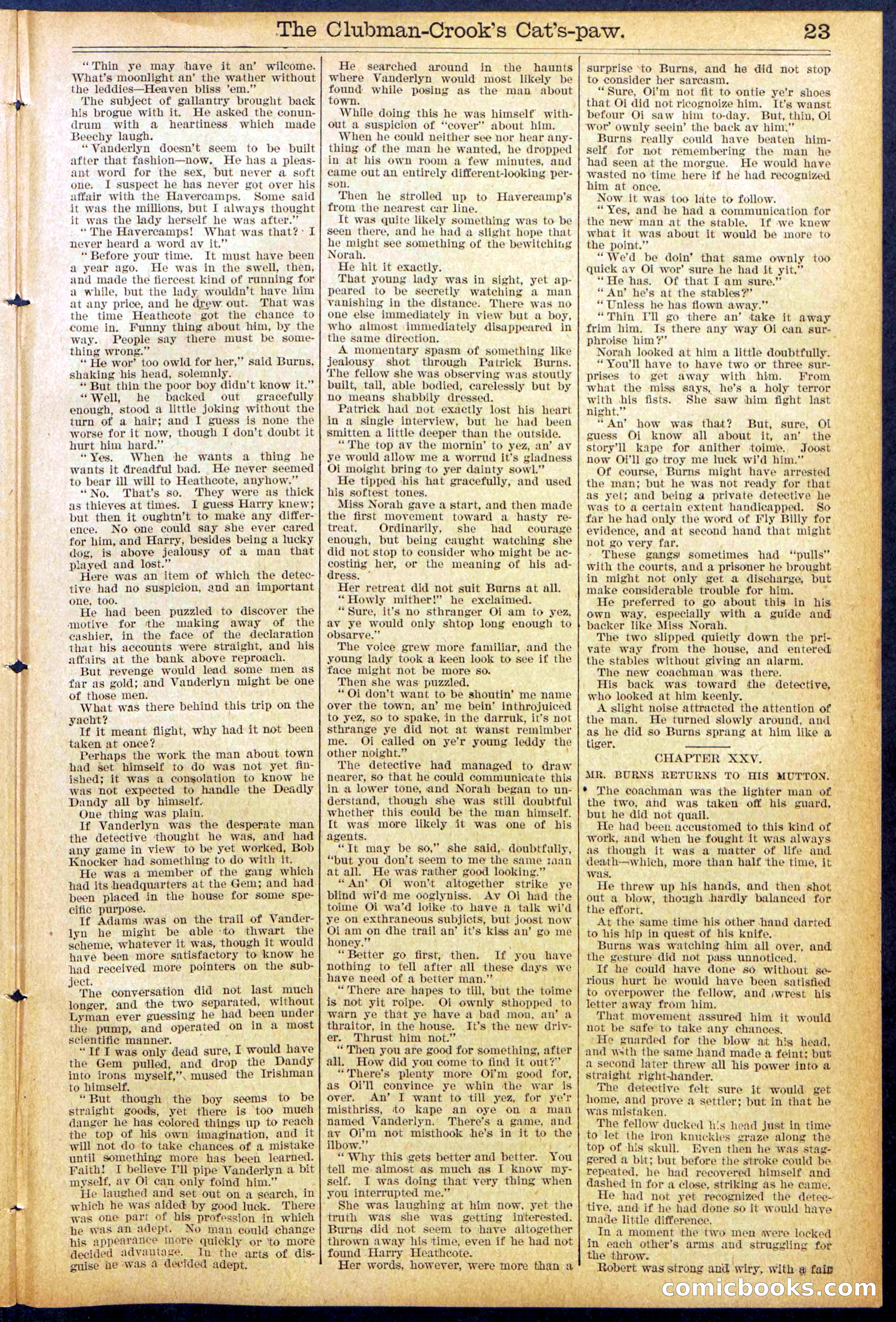 Beadle's New York Dime Library, No. 881 — page 23 of 32